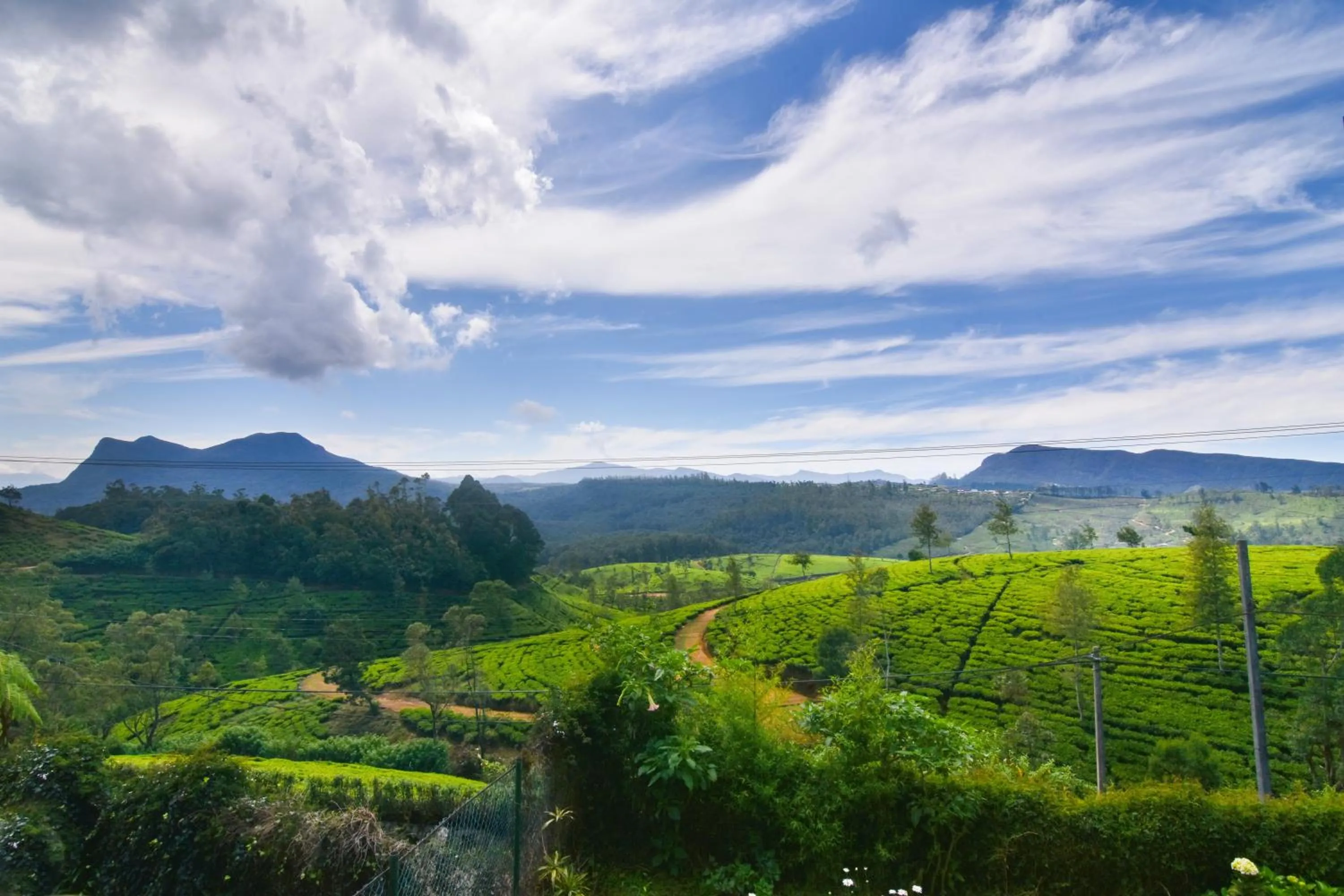 Mountain view in The Glenmor Bungalow