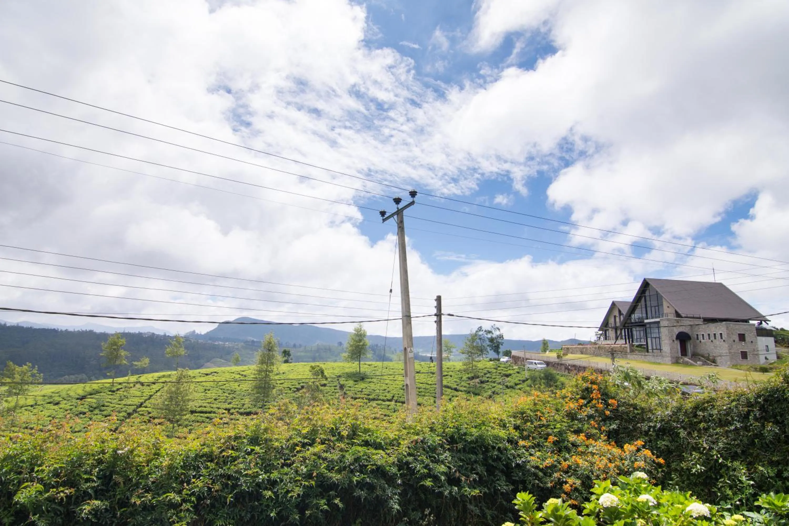 Mountain view in The Glenmor Bungalow