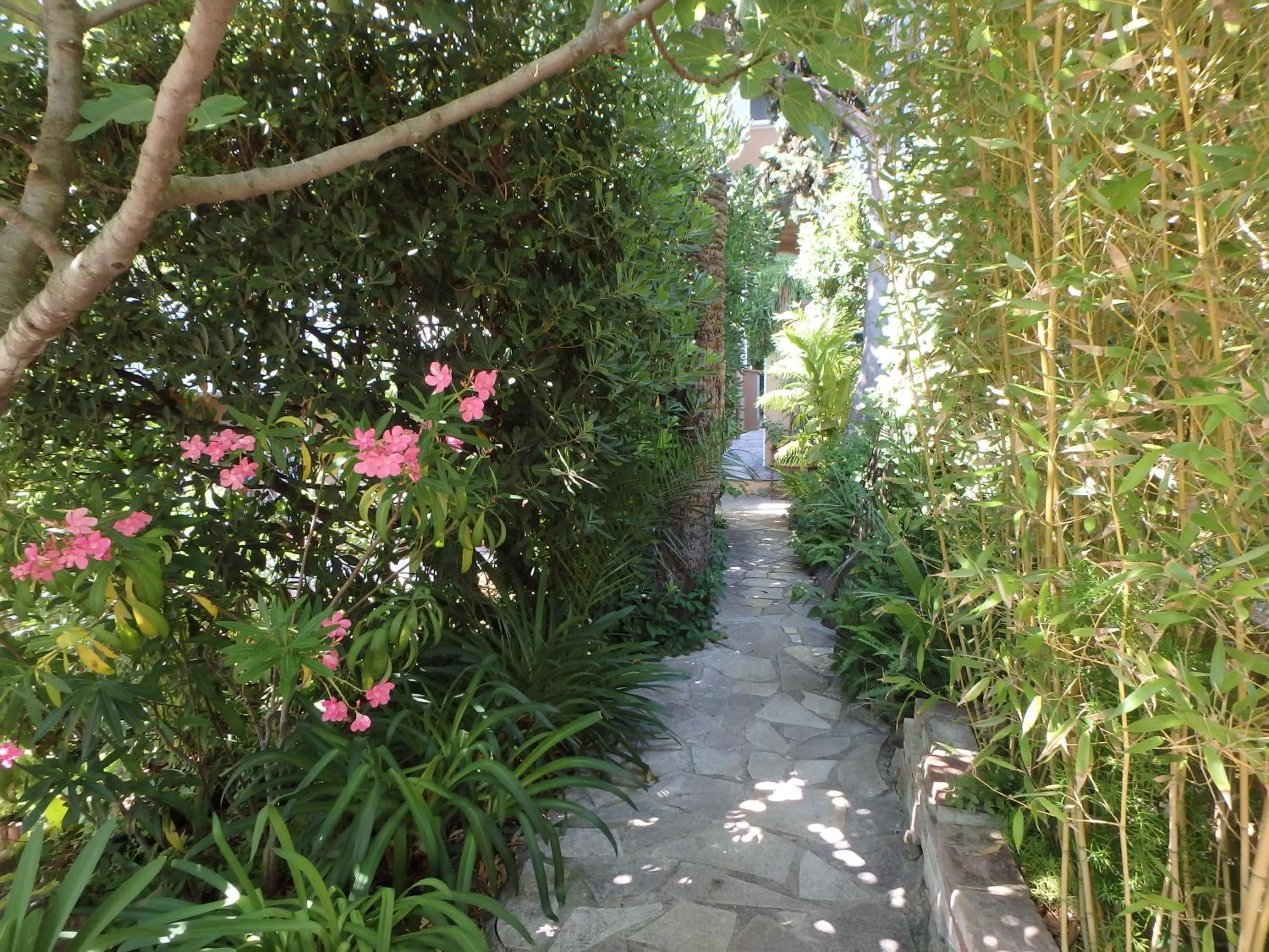 Garden in Residence Veles Plage