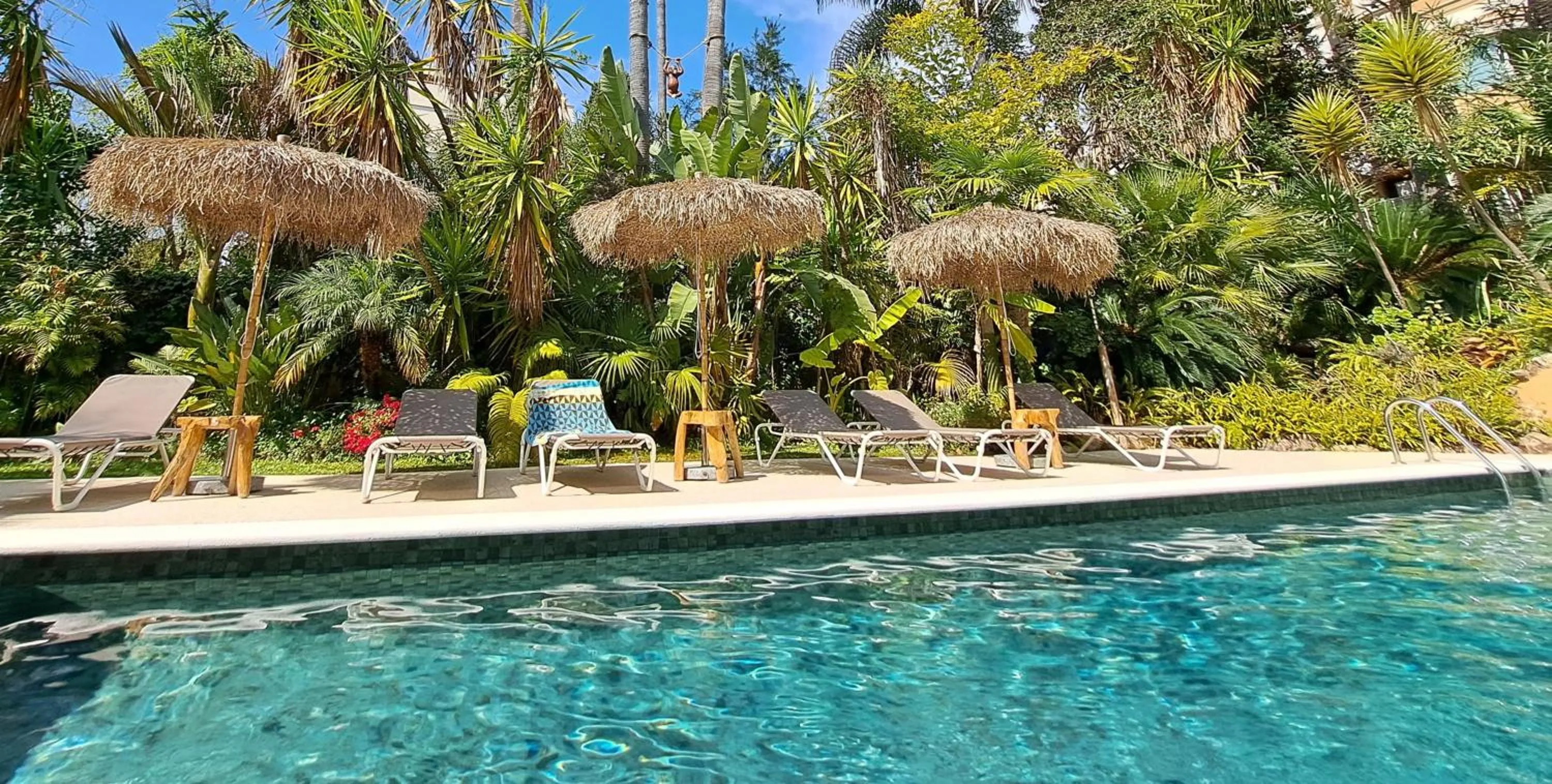 Swimming pool in Residence Veles Plage