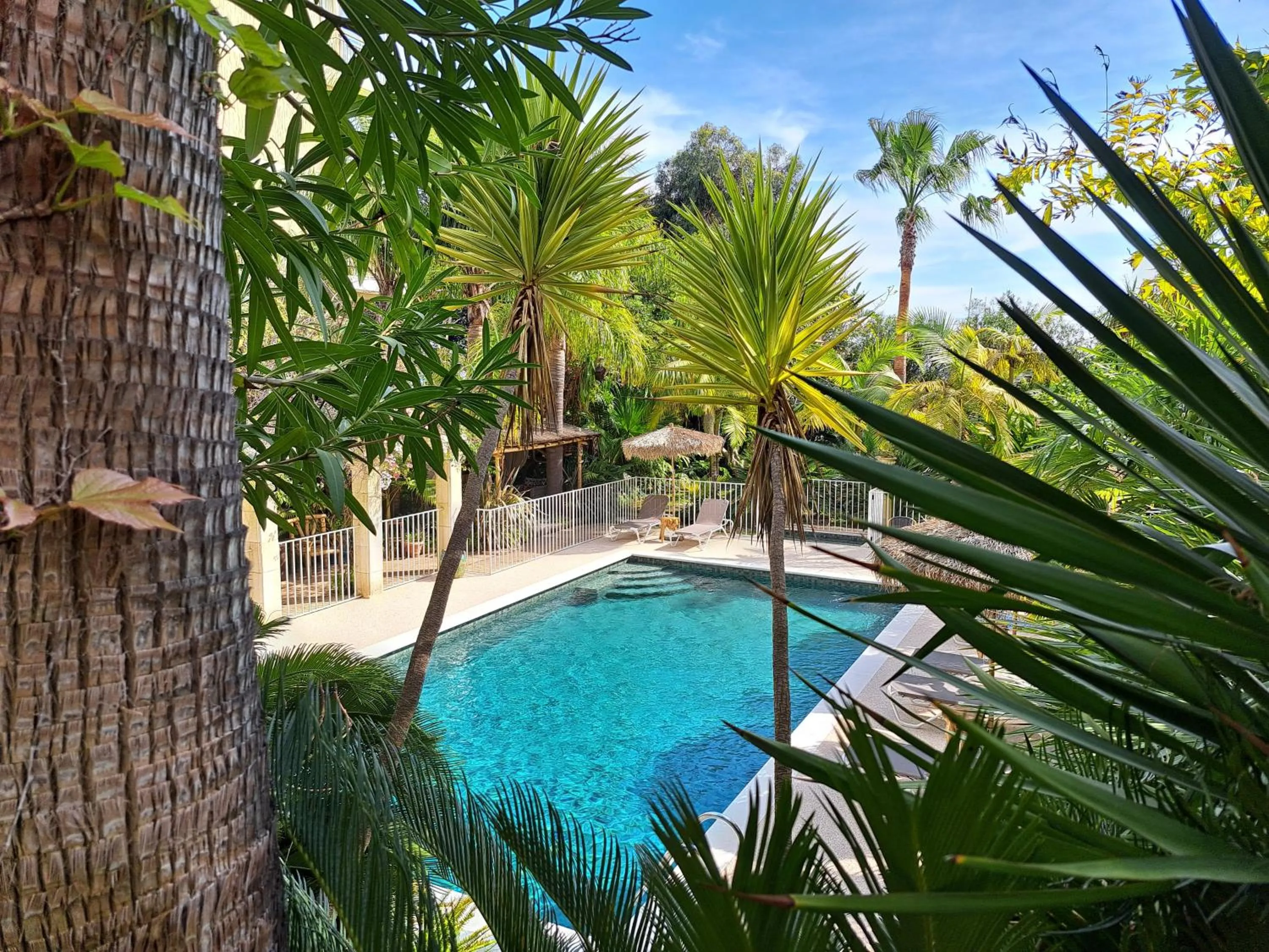 Swimming pool in Residence Veles Plage