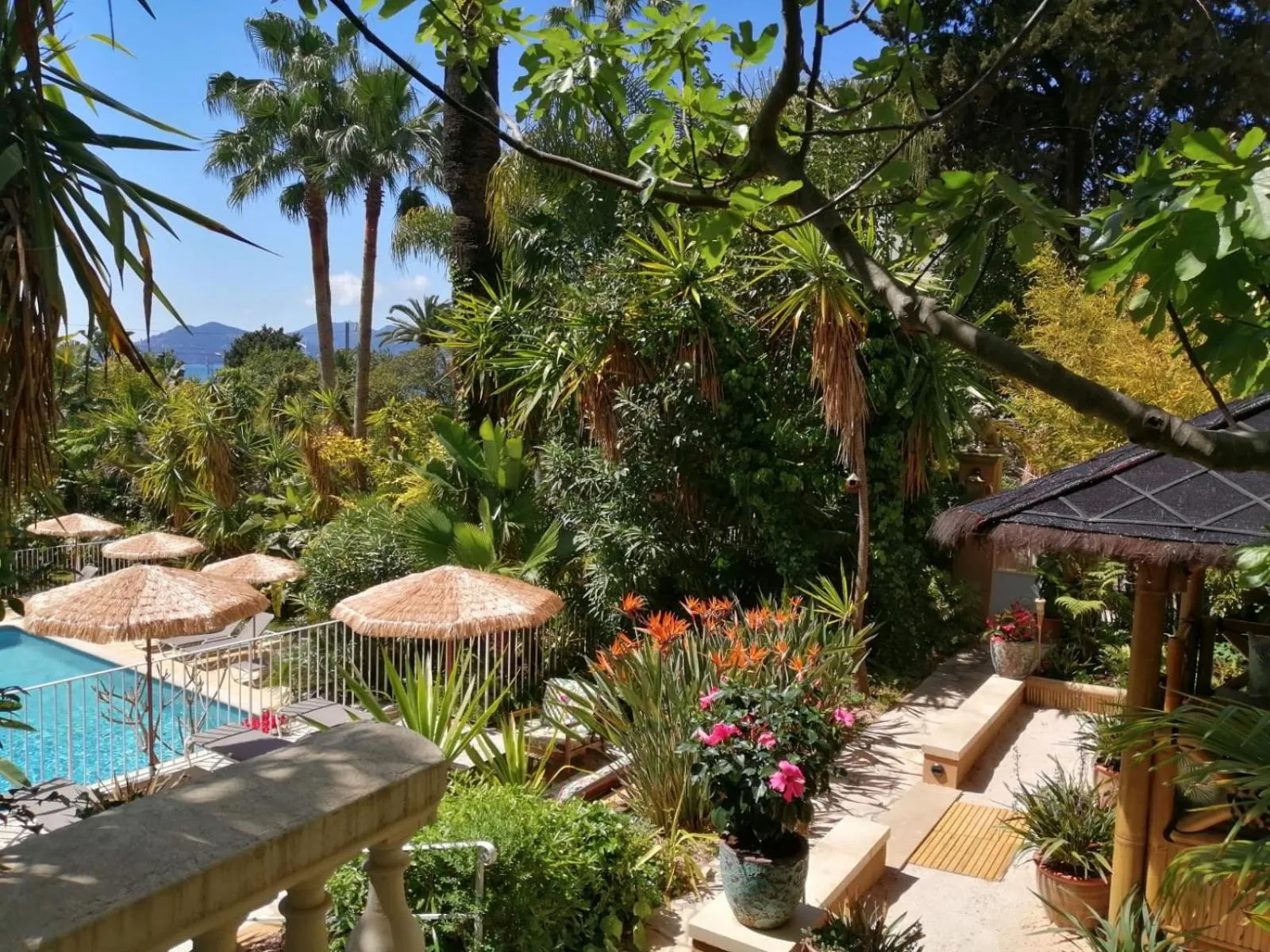 Garden in Residence Veles Plage
