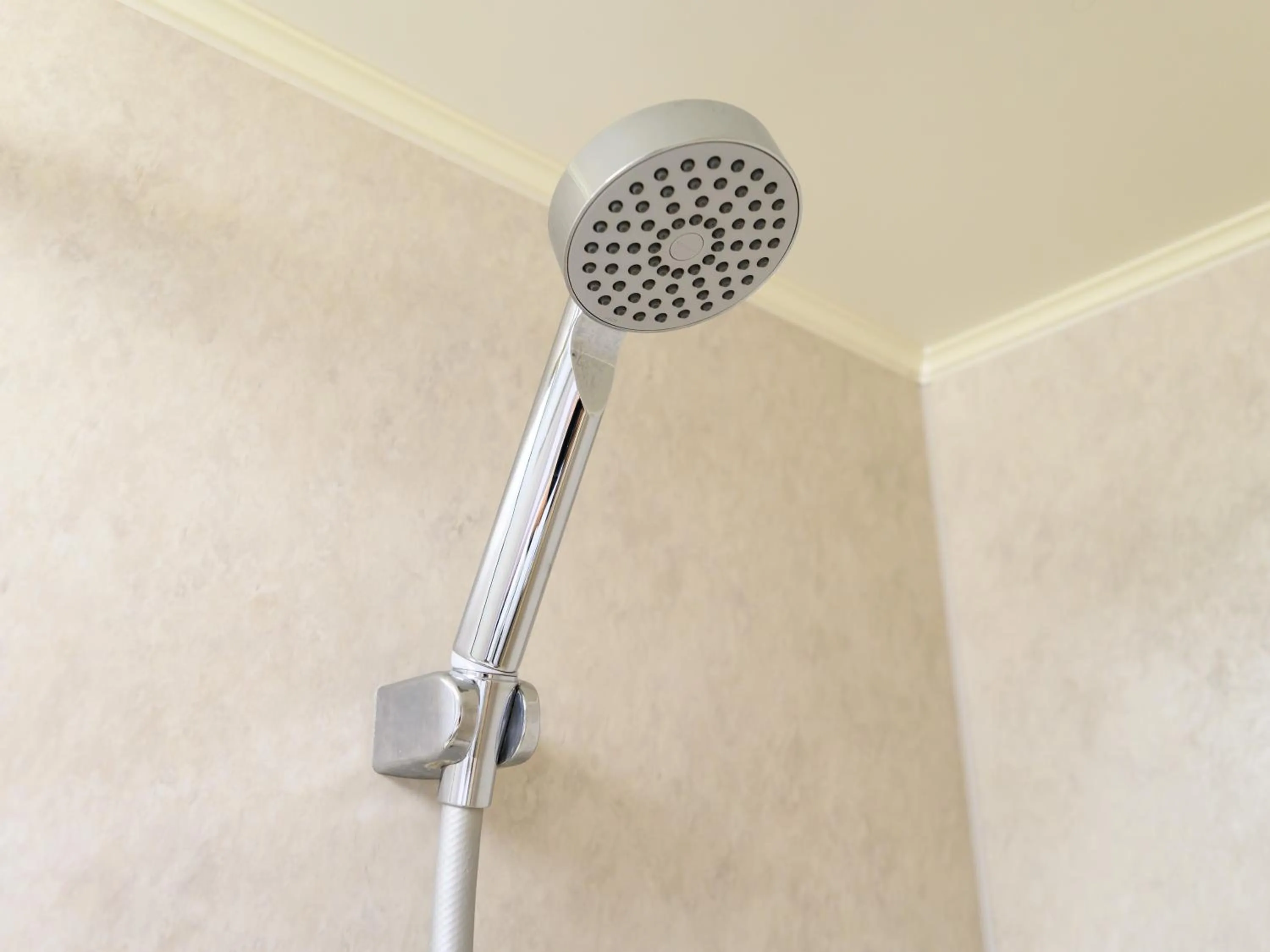 Shower in Hotel Green Park Tsu