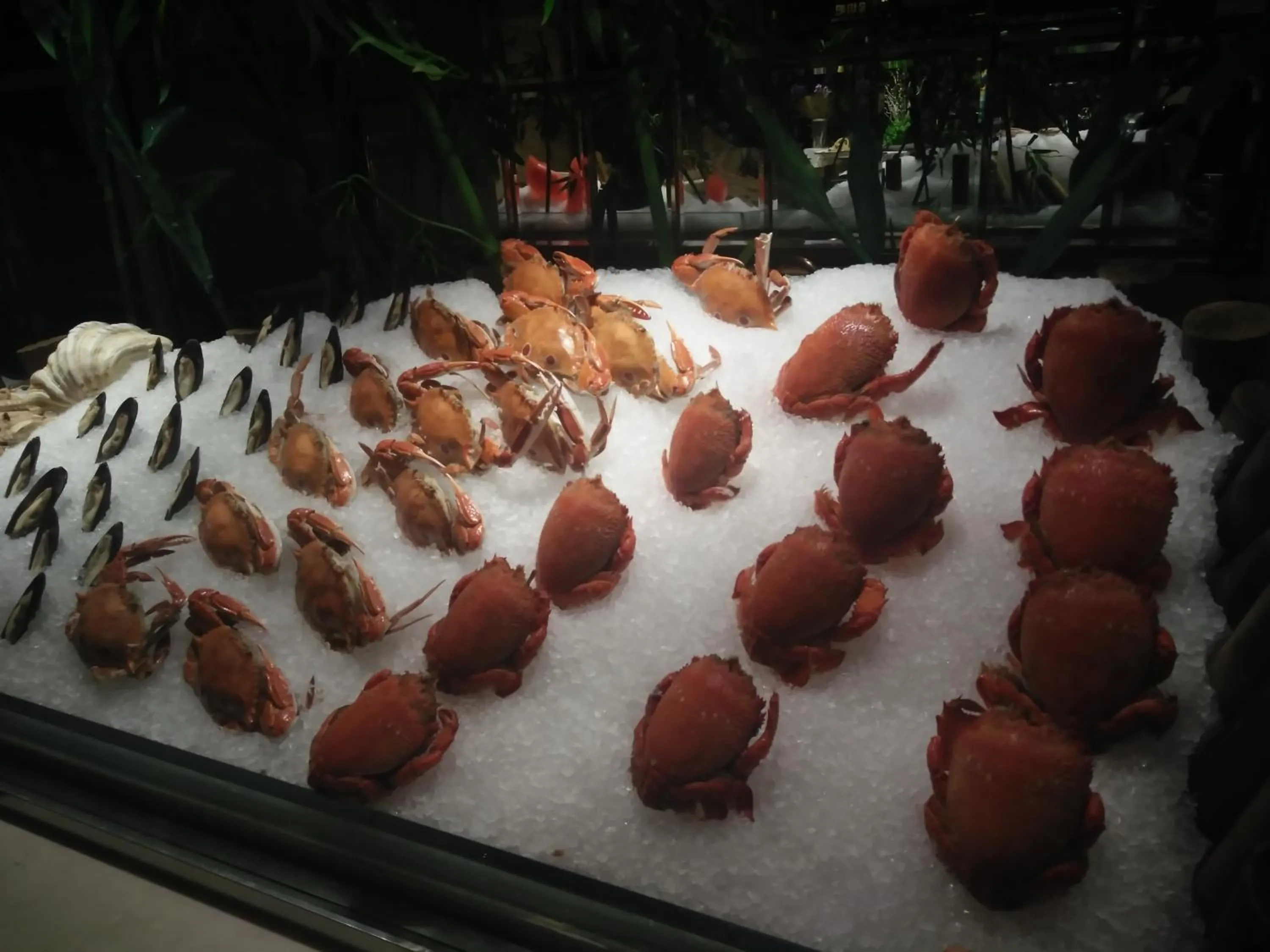 Lunch in Xi'an Lanxi International Hotel