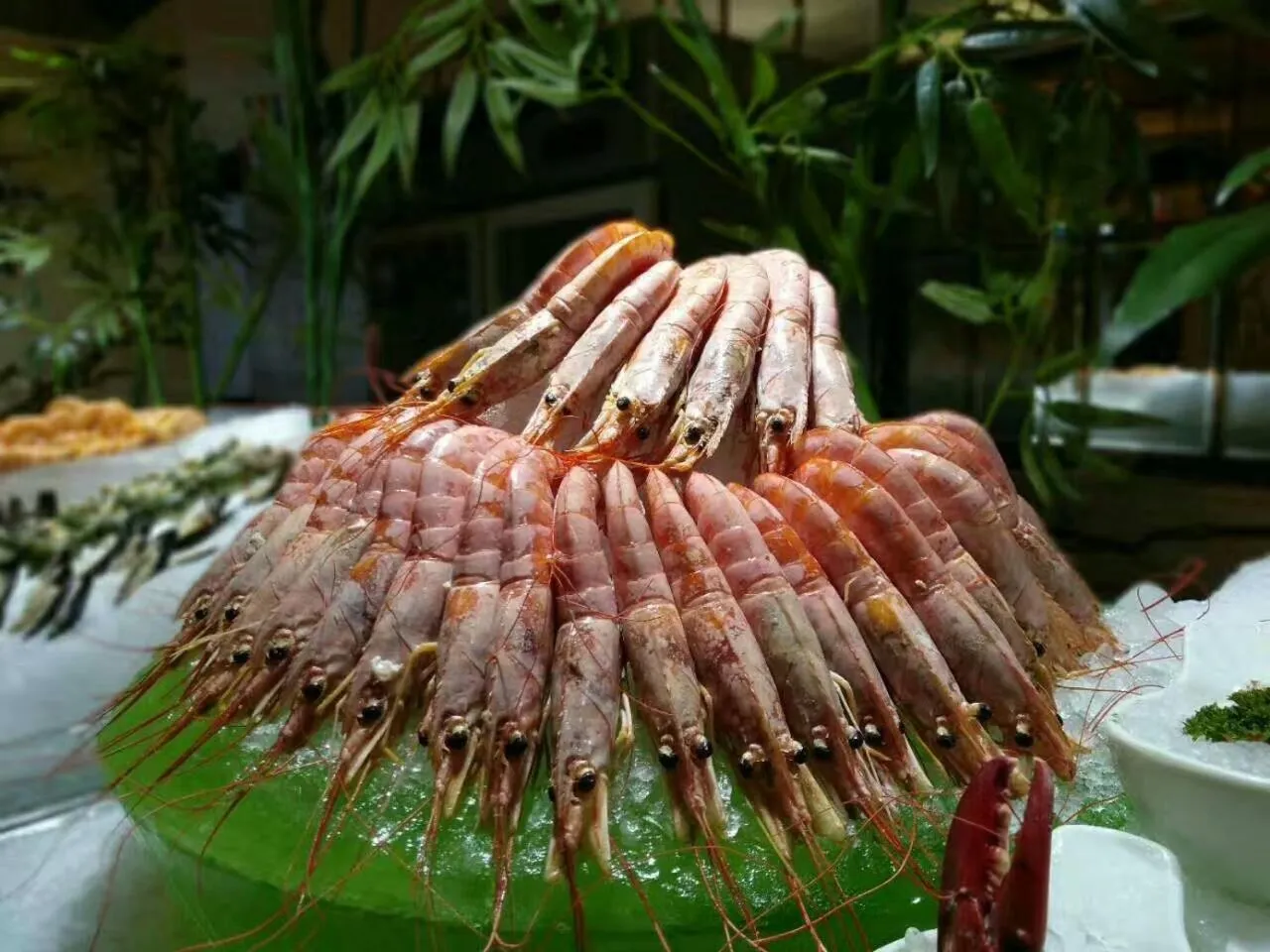 Lunch in Xi'an Lanxi International Hotel