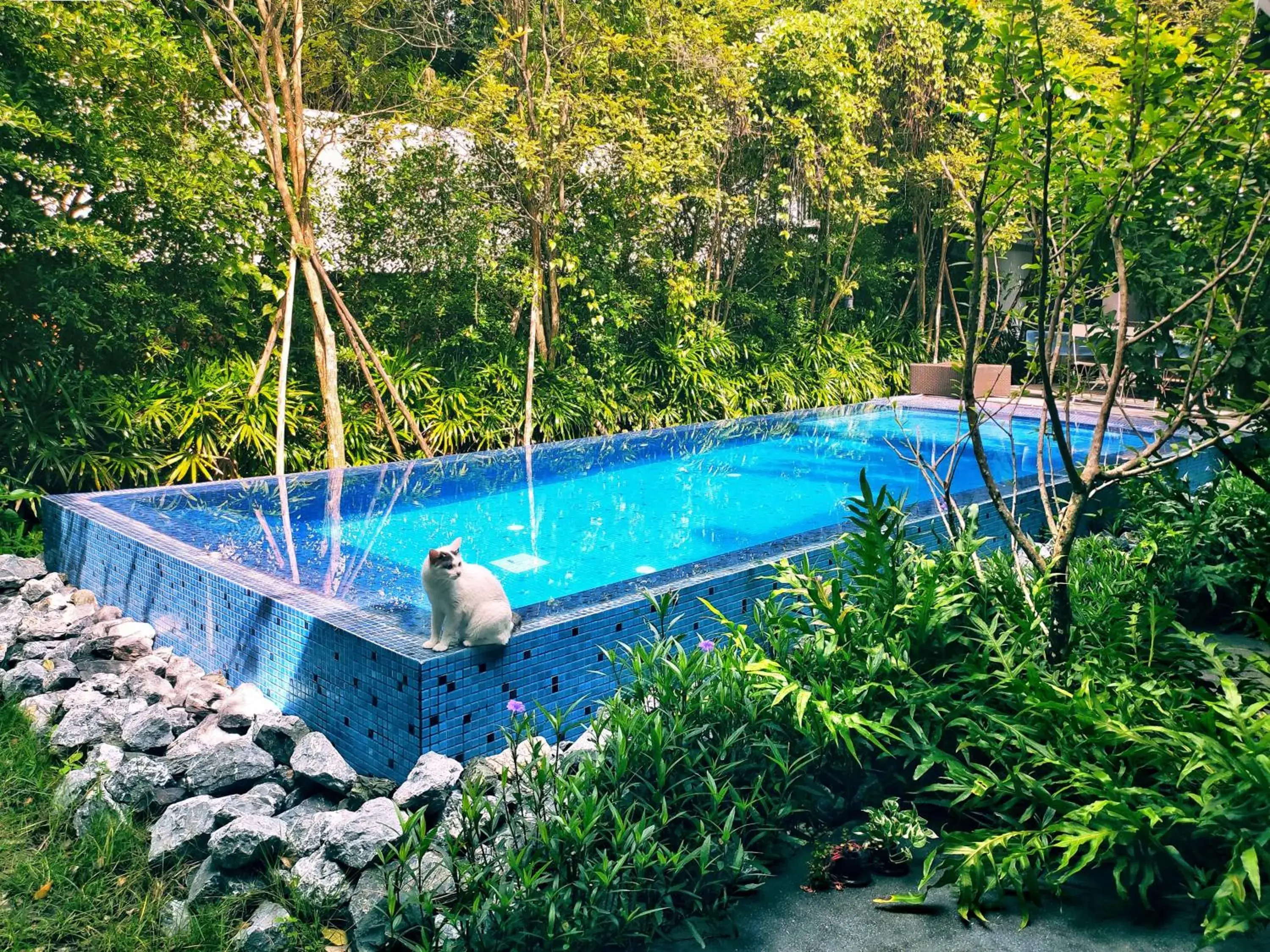 Swimming pool in Yellow Pillow village Swimming pool in Yellow Pillow village