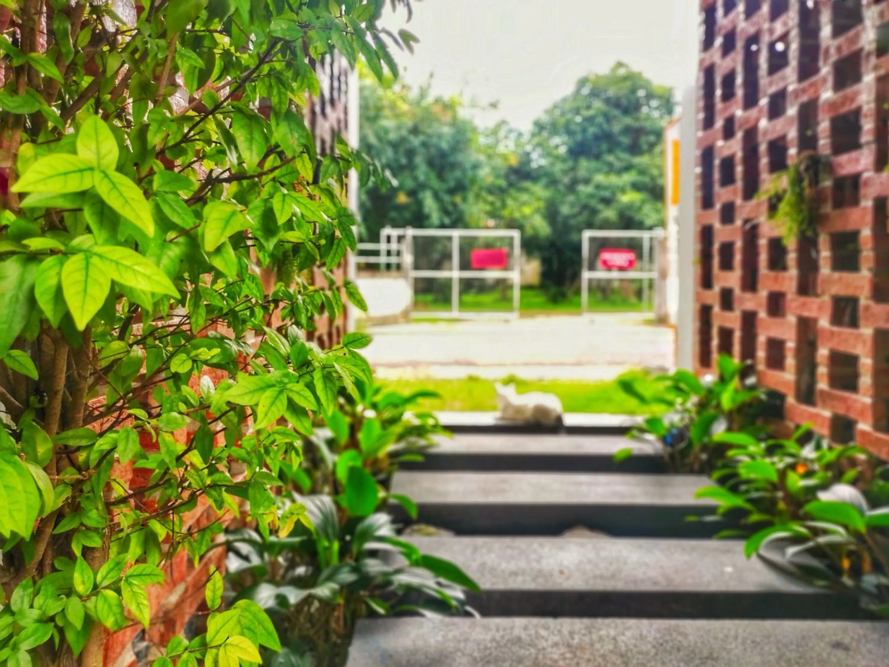 Garden in Yellow Pillow village