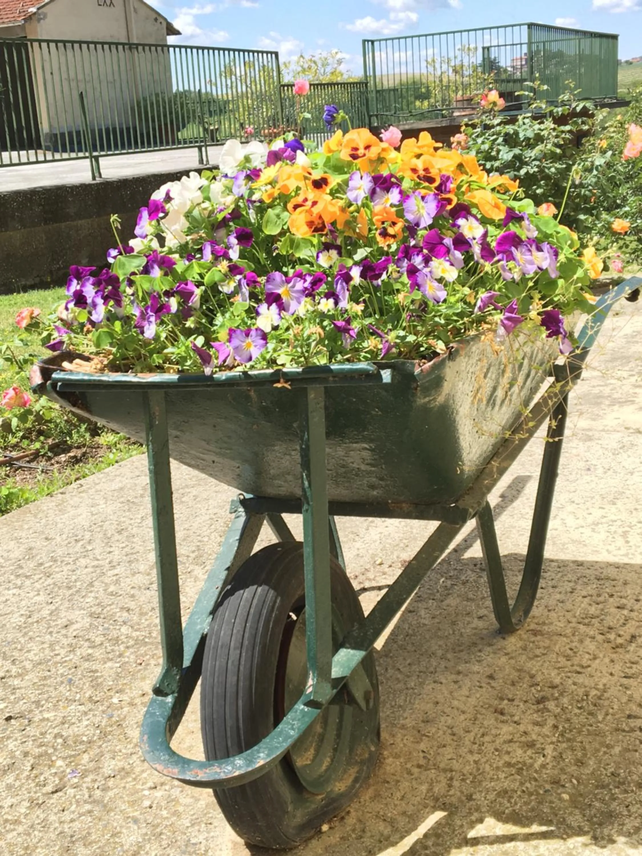 Decorative detail in Tenuta San Rocco
