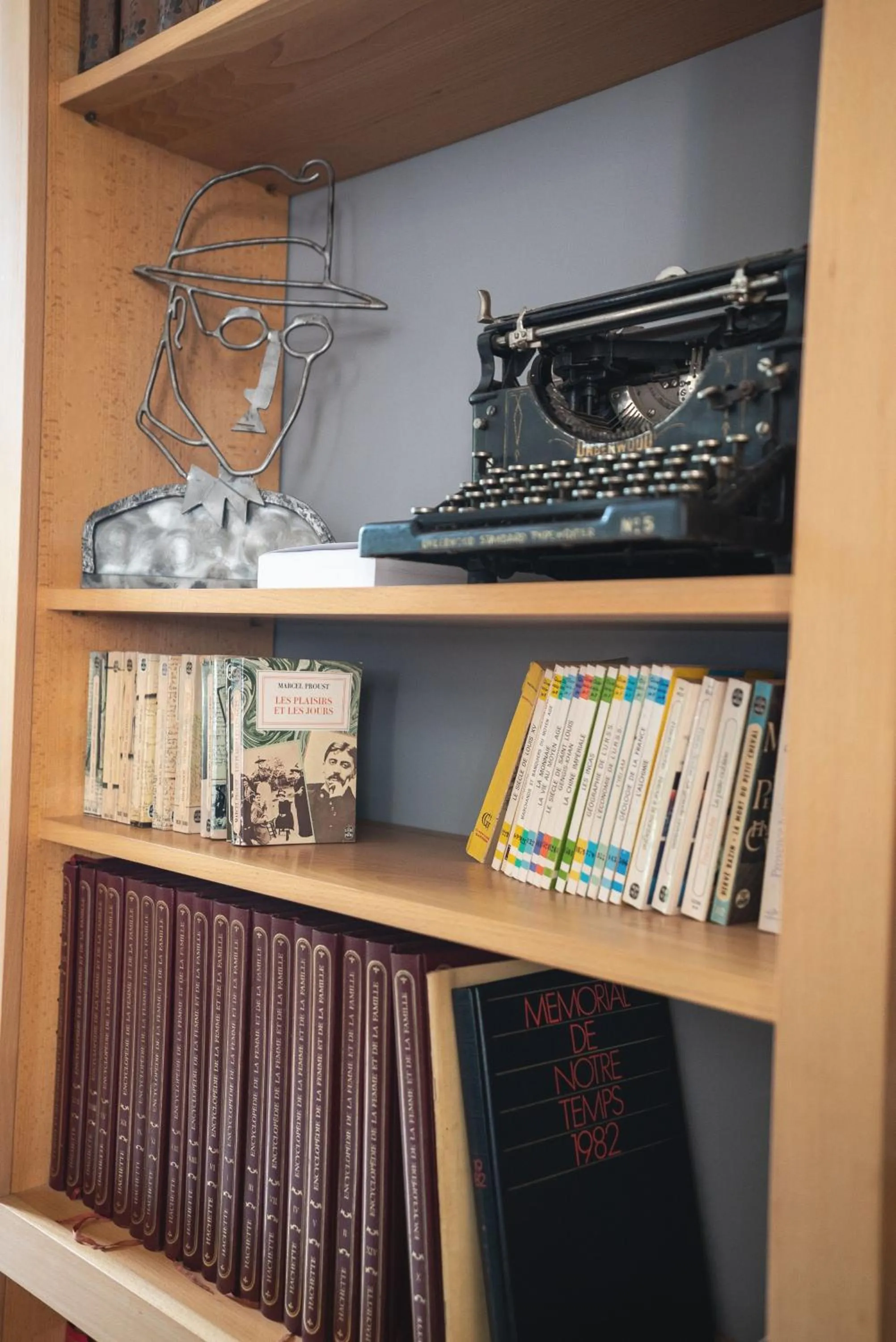 Library in Chateau Pont Saint-Martin