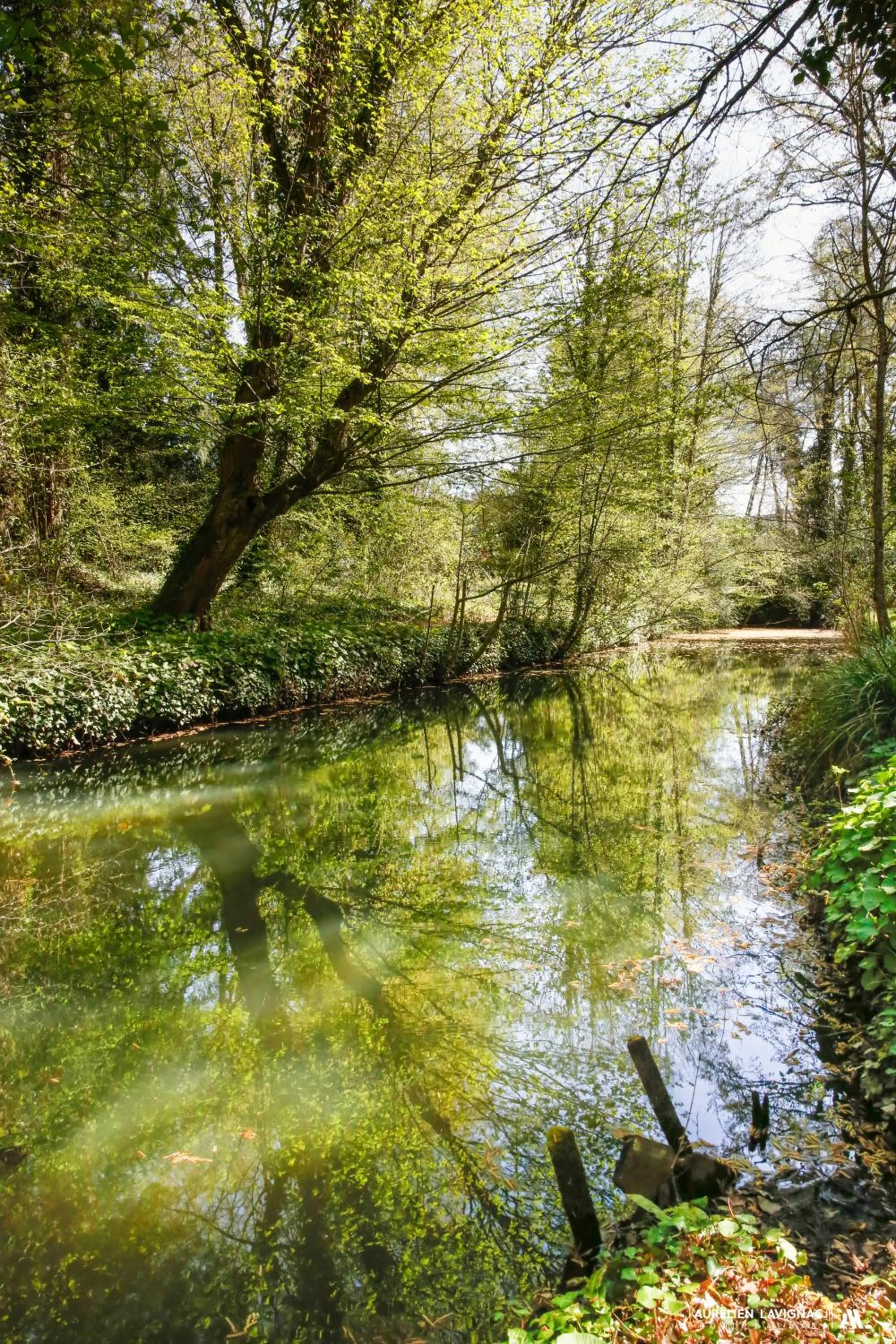 Nearby landmark in Chateau Pont Saint-Martin