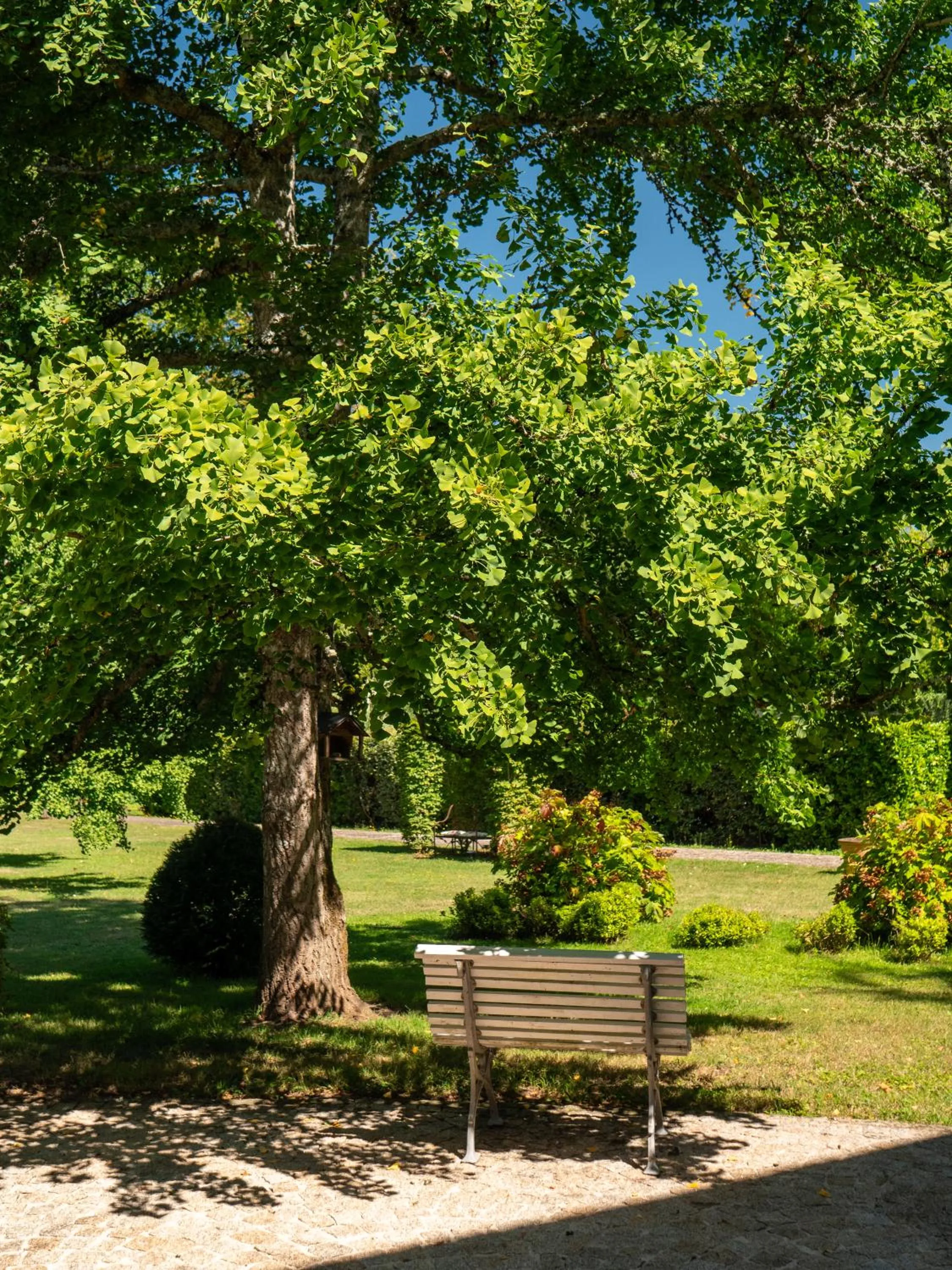 Spring in Chateau Pont Saint-Martin