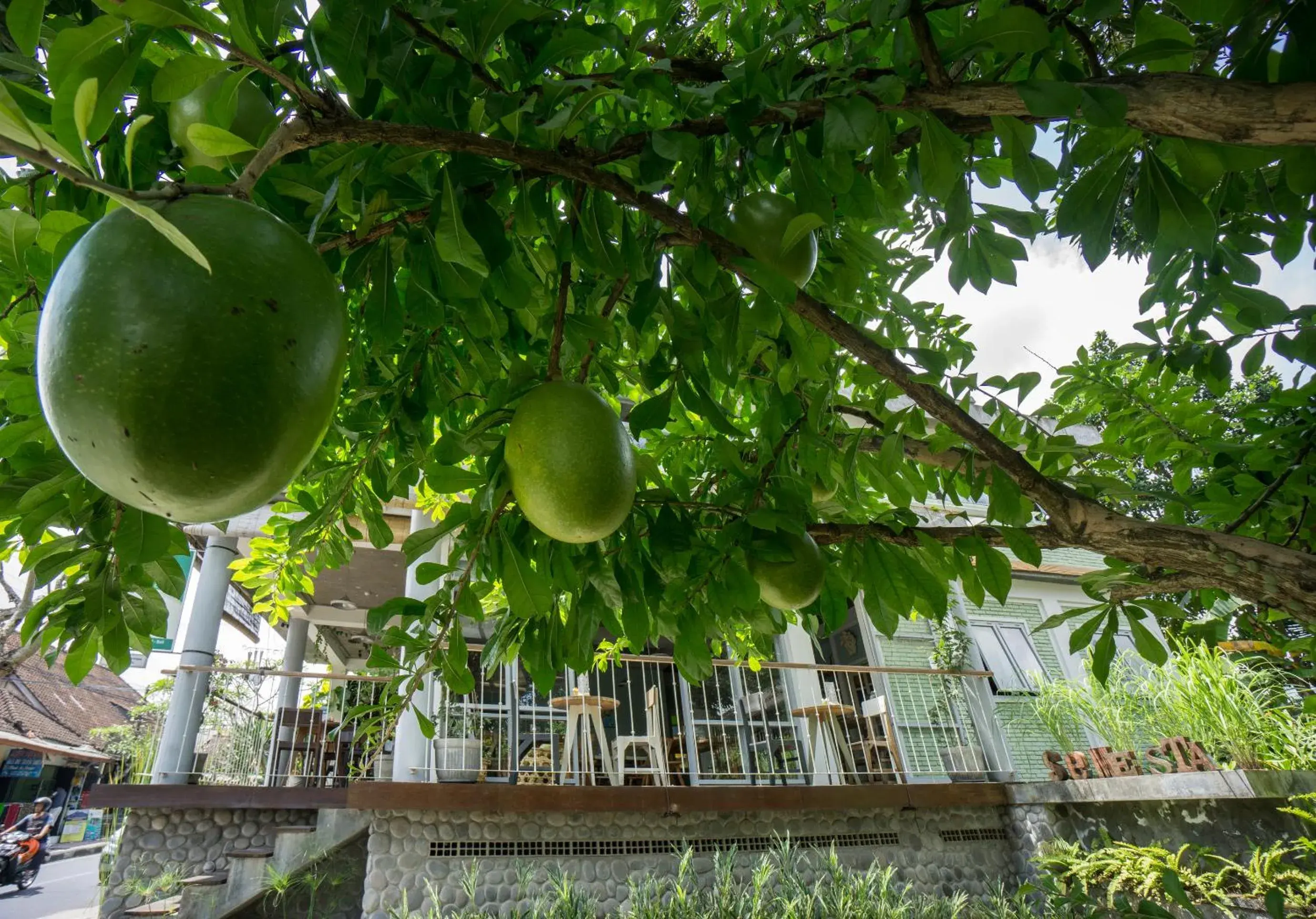 Restaurant/places to eat in Tegal Sari Accommodation Ubud Restaurant/places to eat in Tegal Sari Accommodation Ubud