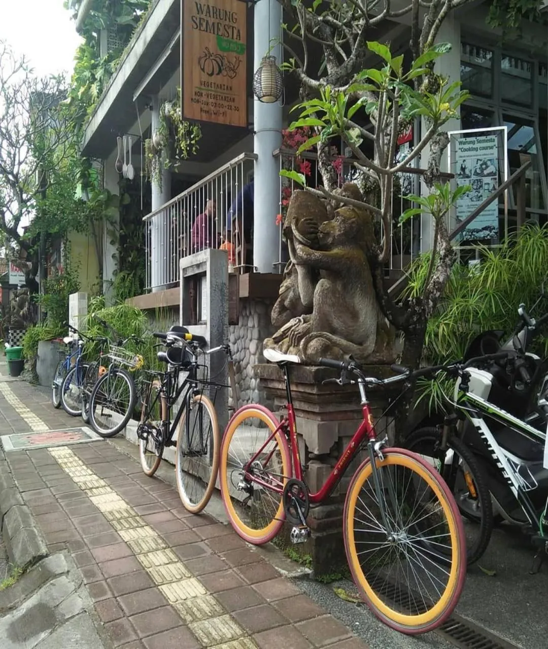Cycling in Tegal Sari Accommodation Ubud