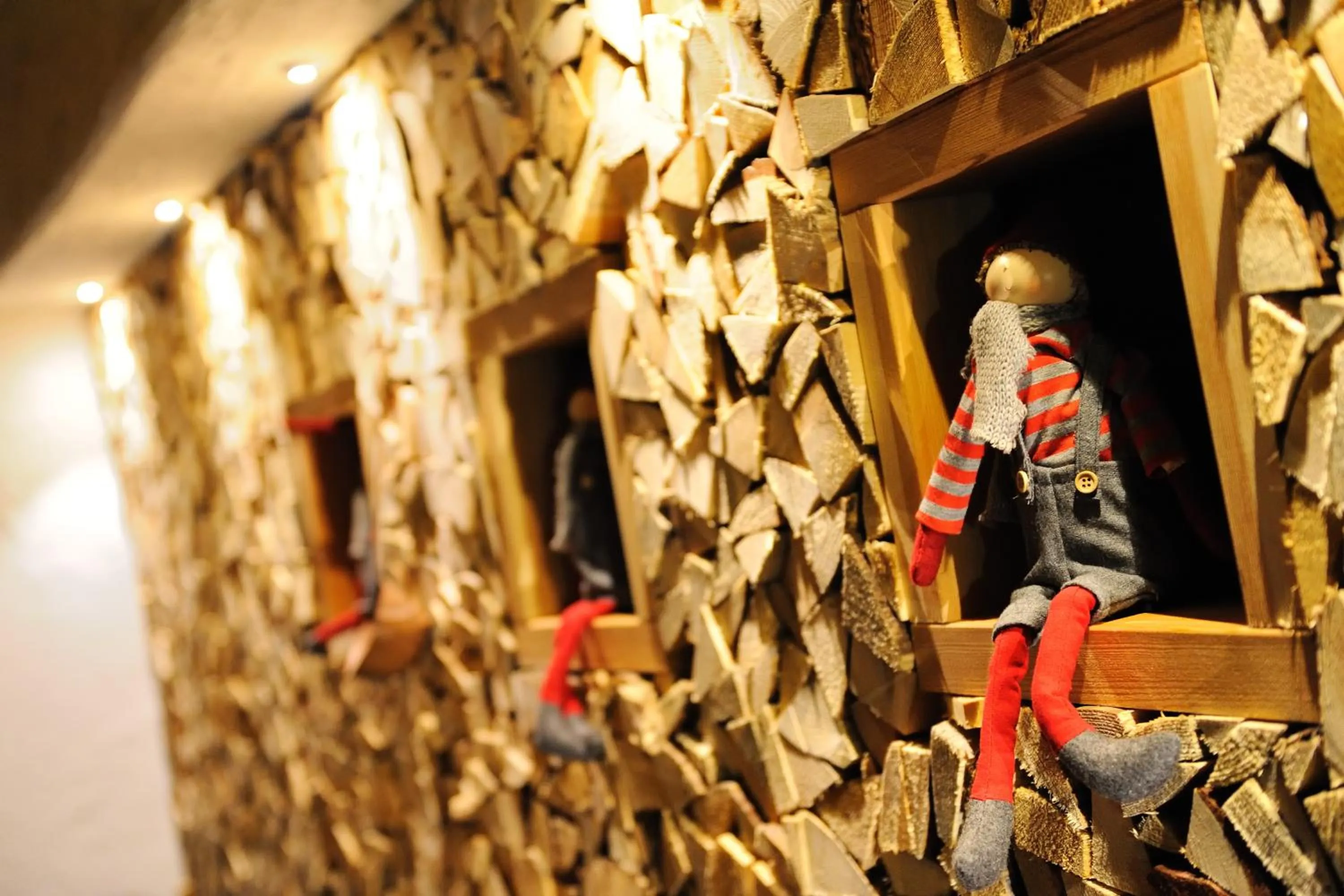 Area and facilities in Sport Hotel S. Vigilio