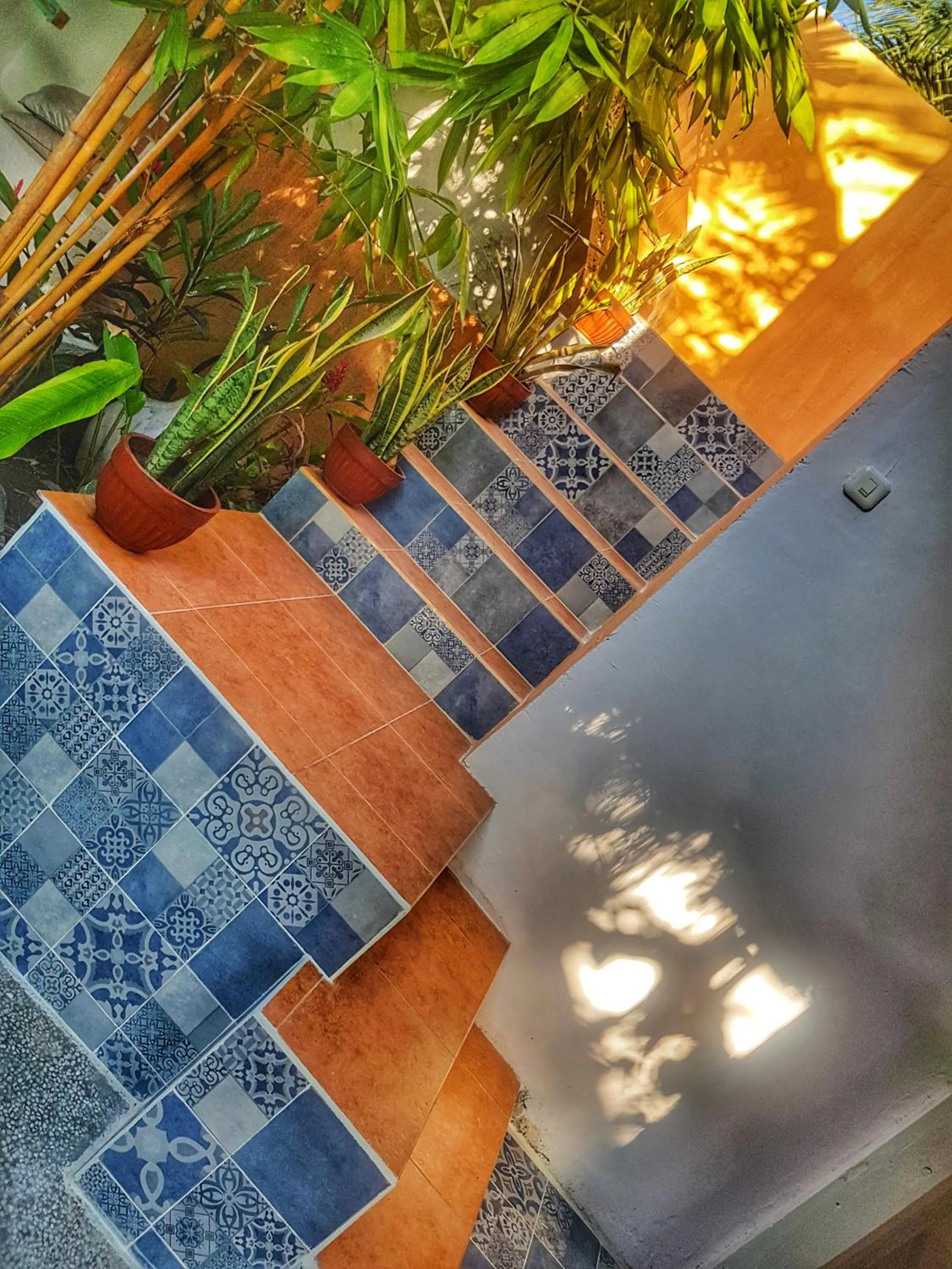 Garden in Havana Hideaway