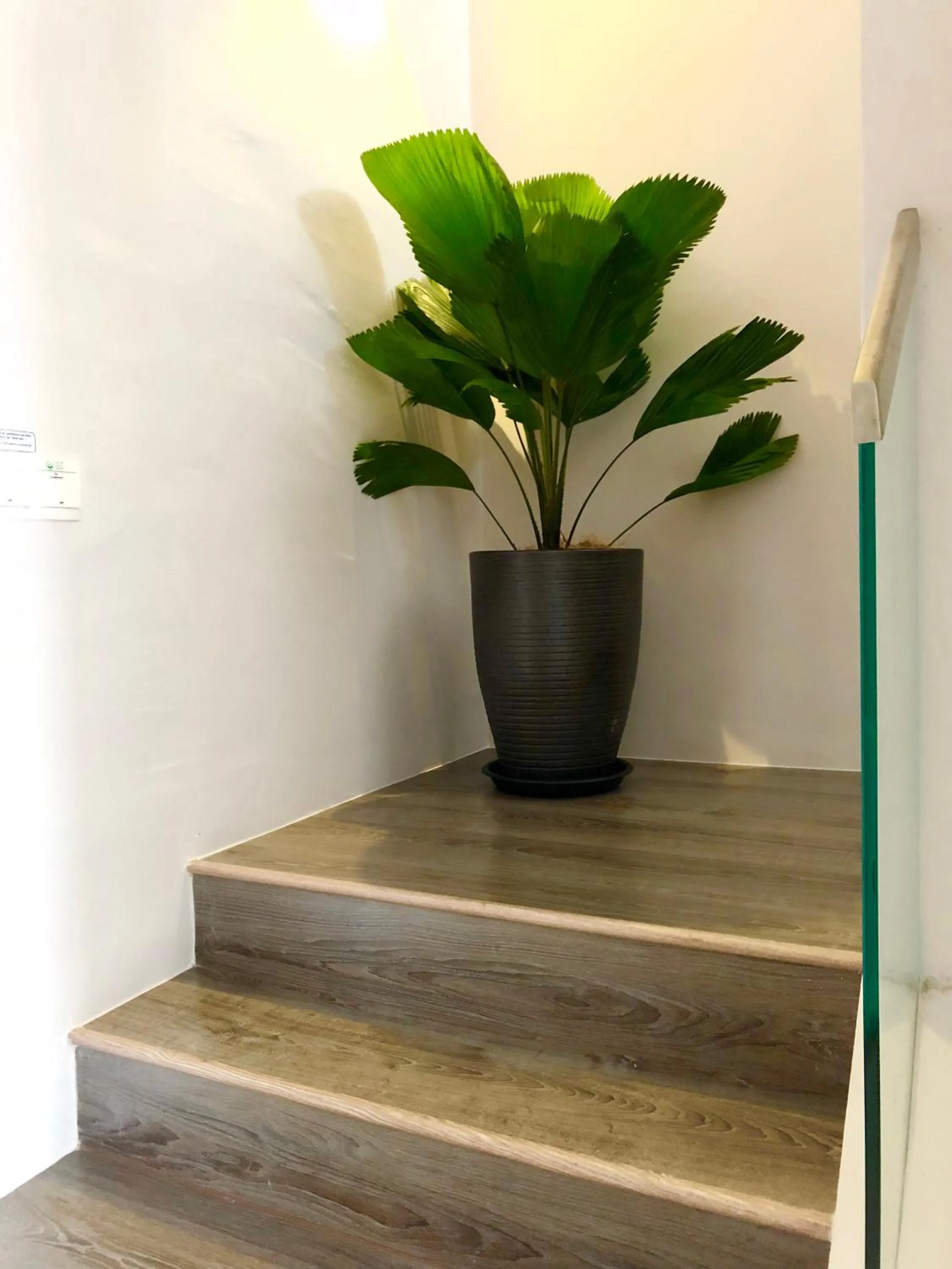 Minimalist Duplex @ Petaling Jaya & Sunway