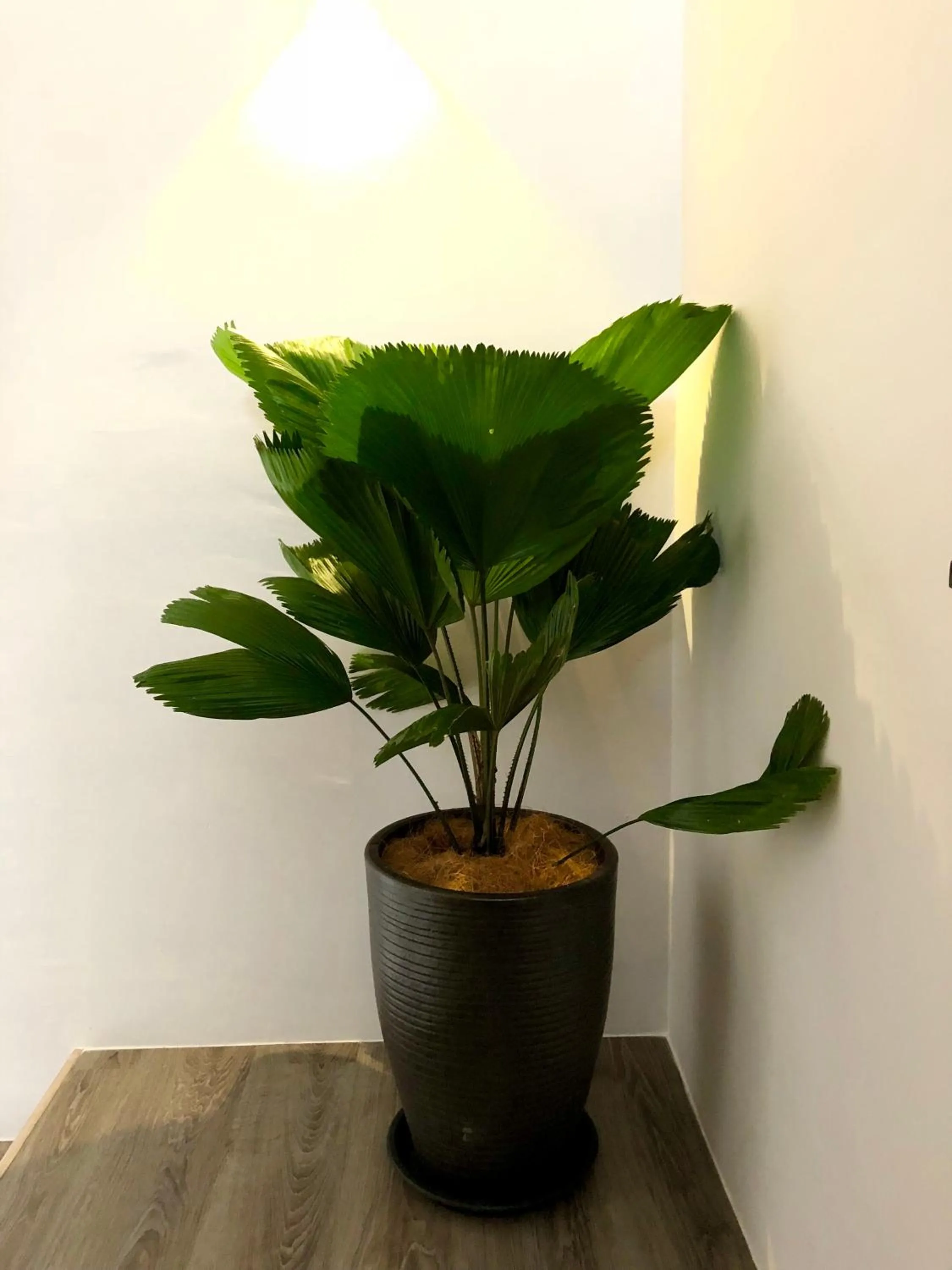 Minimalist Duplex @ Petaling Jaya & Sunway