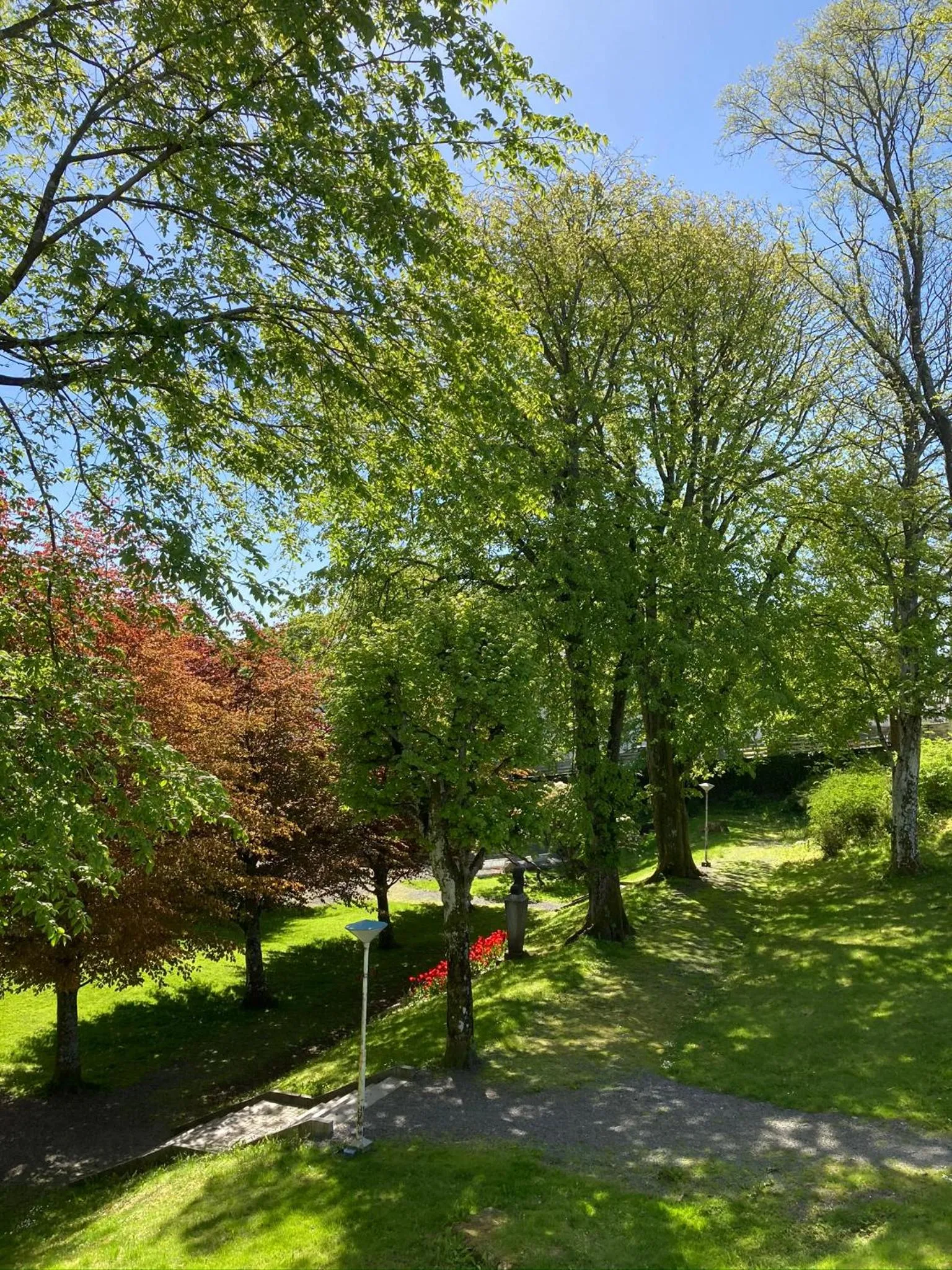 Parken Terrasse Apartment Hotel