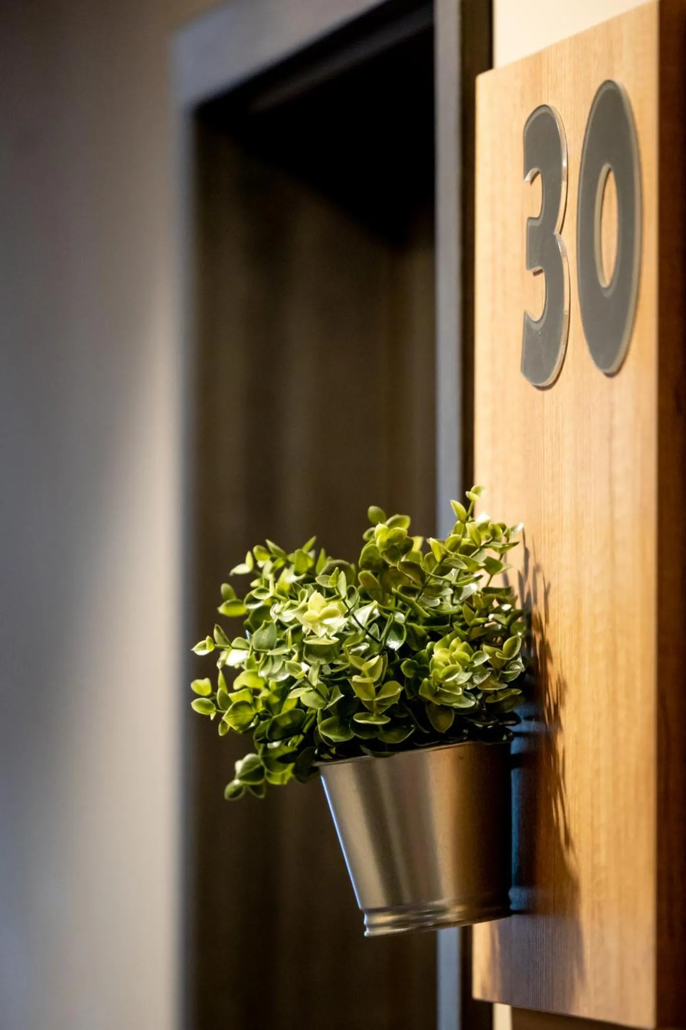 Photo of the whole room in Garda Hotel