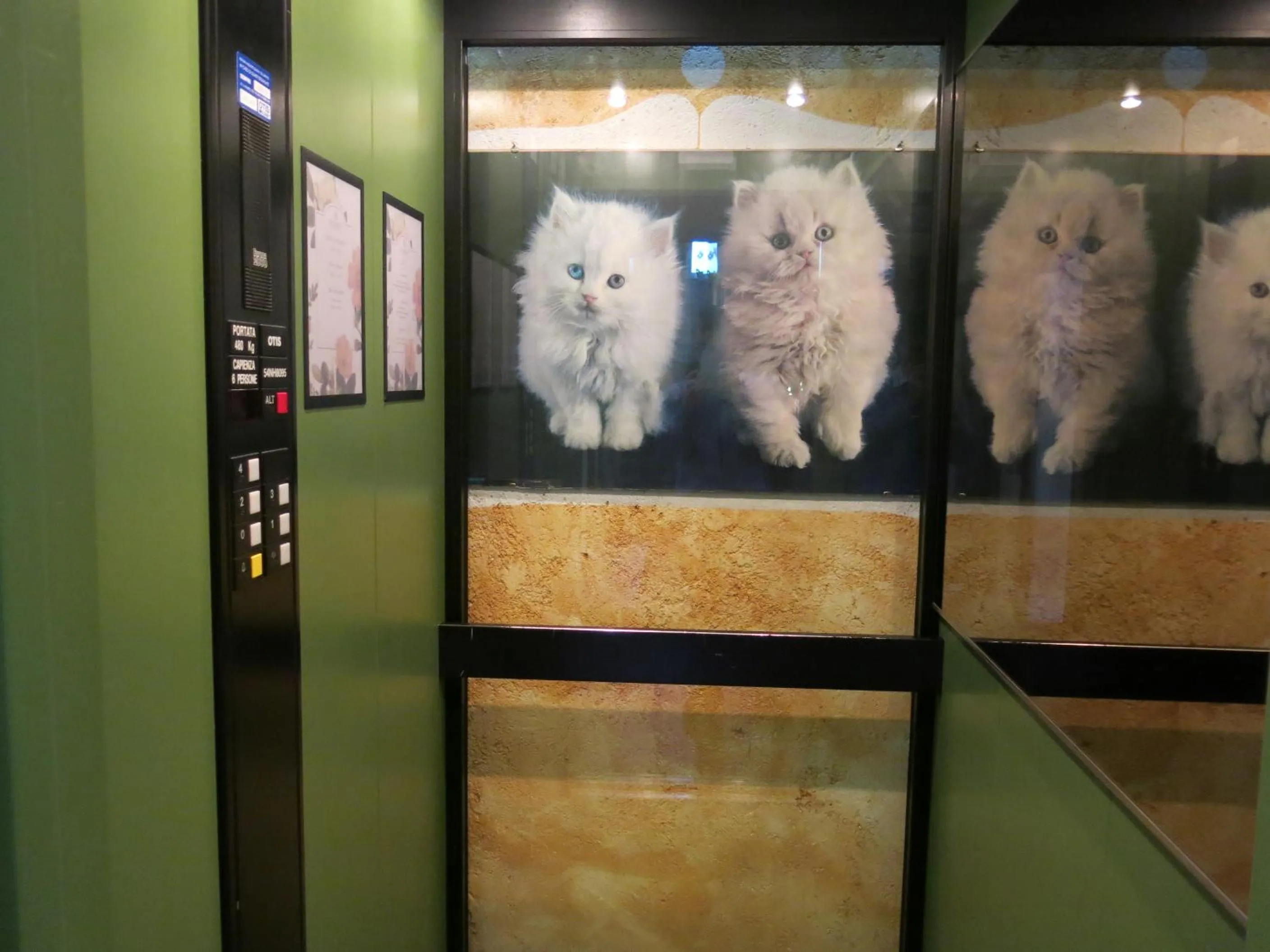 Other in Digonera Historic Hotel B&B