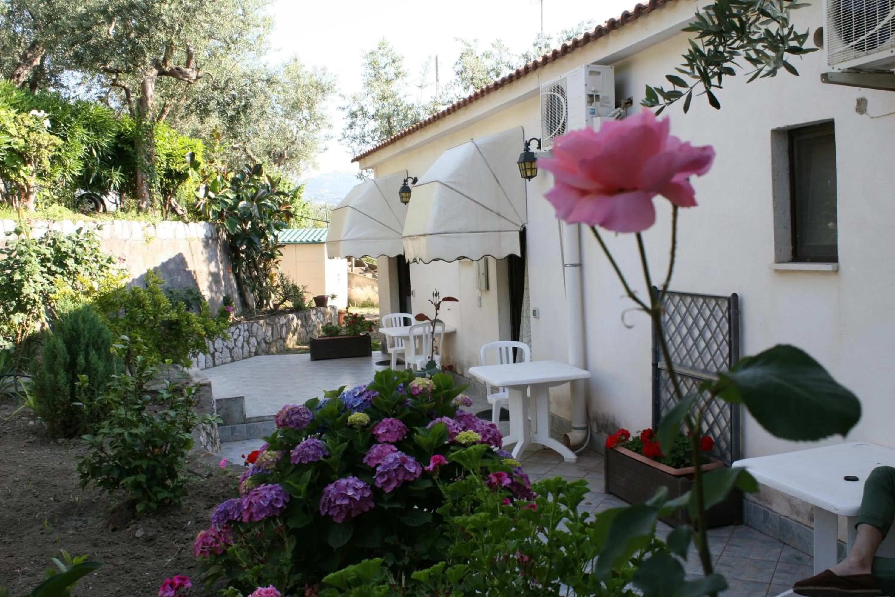 Garden in Villaggio Villa Lubrense