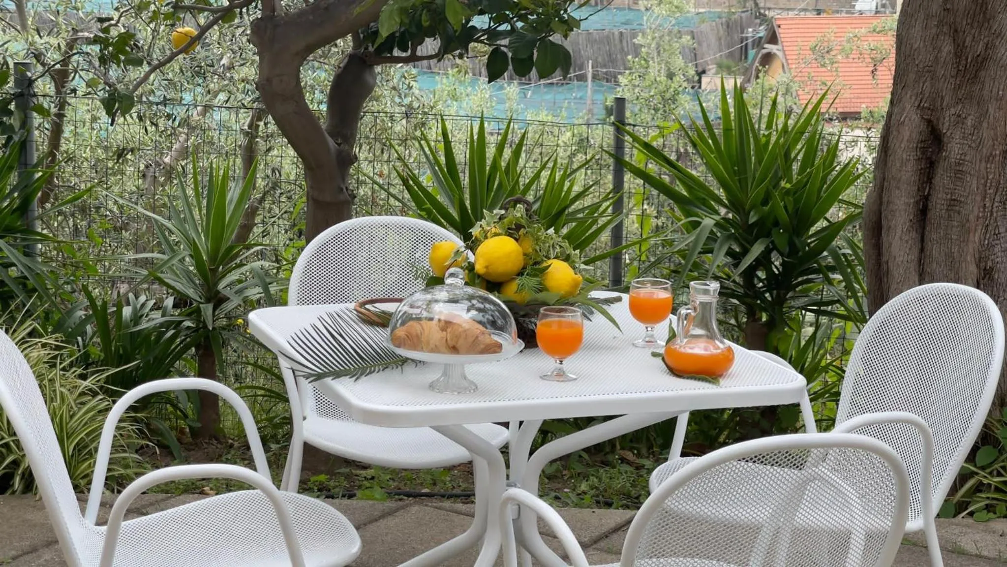 Garden view in Villaggio Villa Lubrense