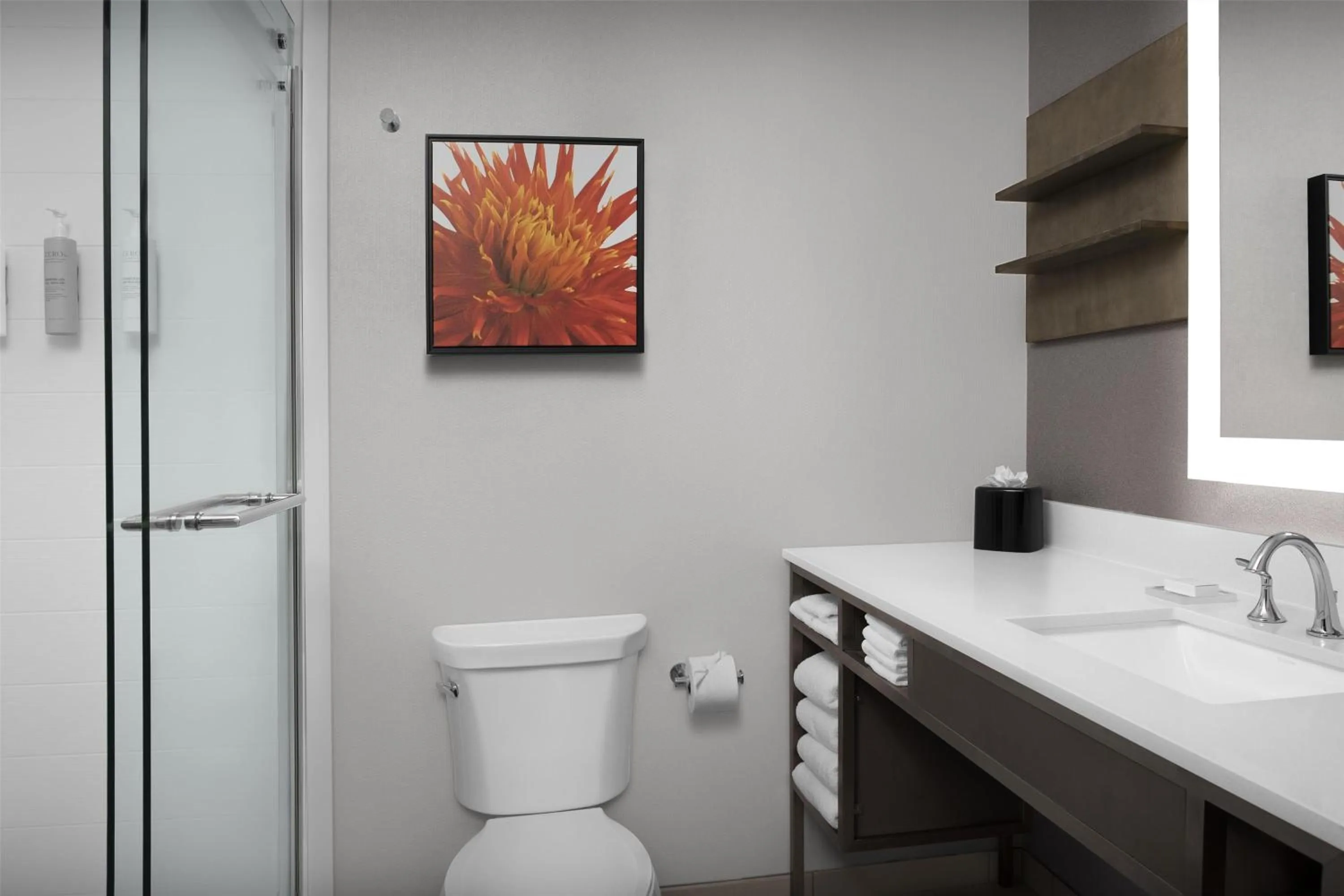 Bathroom in Hilton Garden Inn Charlotte Waverly