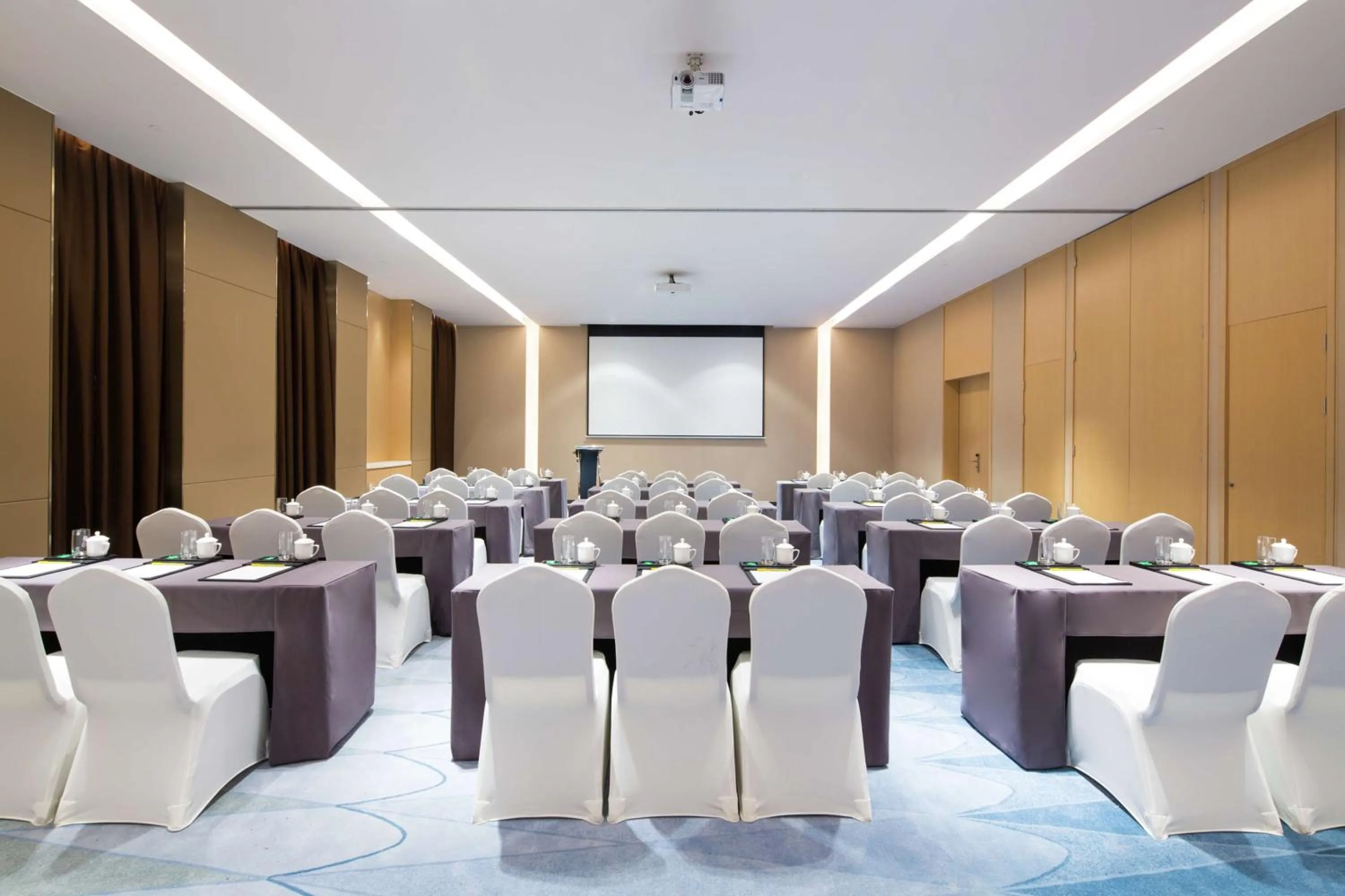 Meeting/conference room in Hilton Garden Inn Qidong