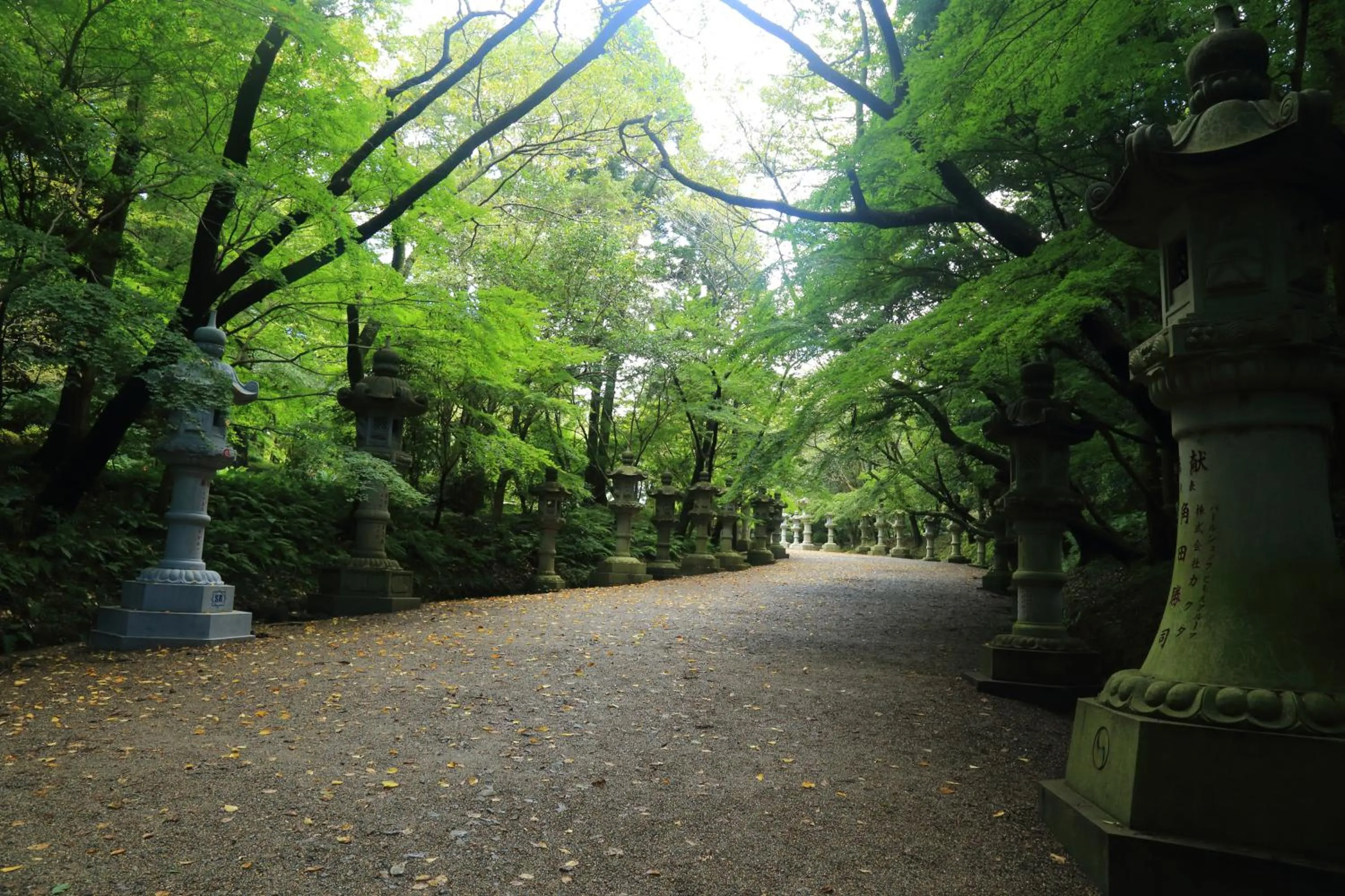 Nearby landmark in HOSTEL Co-EDO