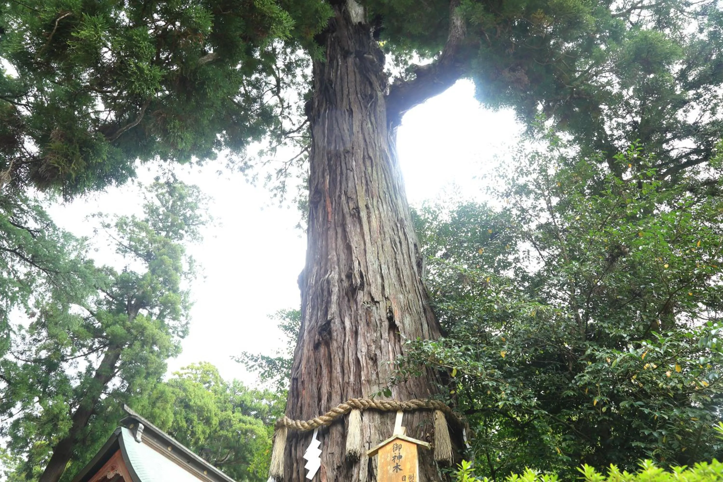 Nearby landmark in HOSTEL Co-EDO