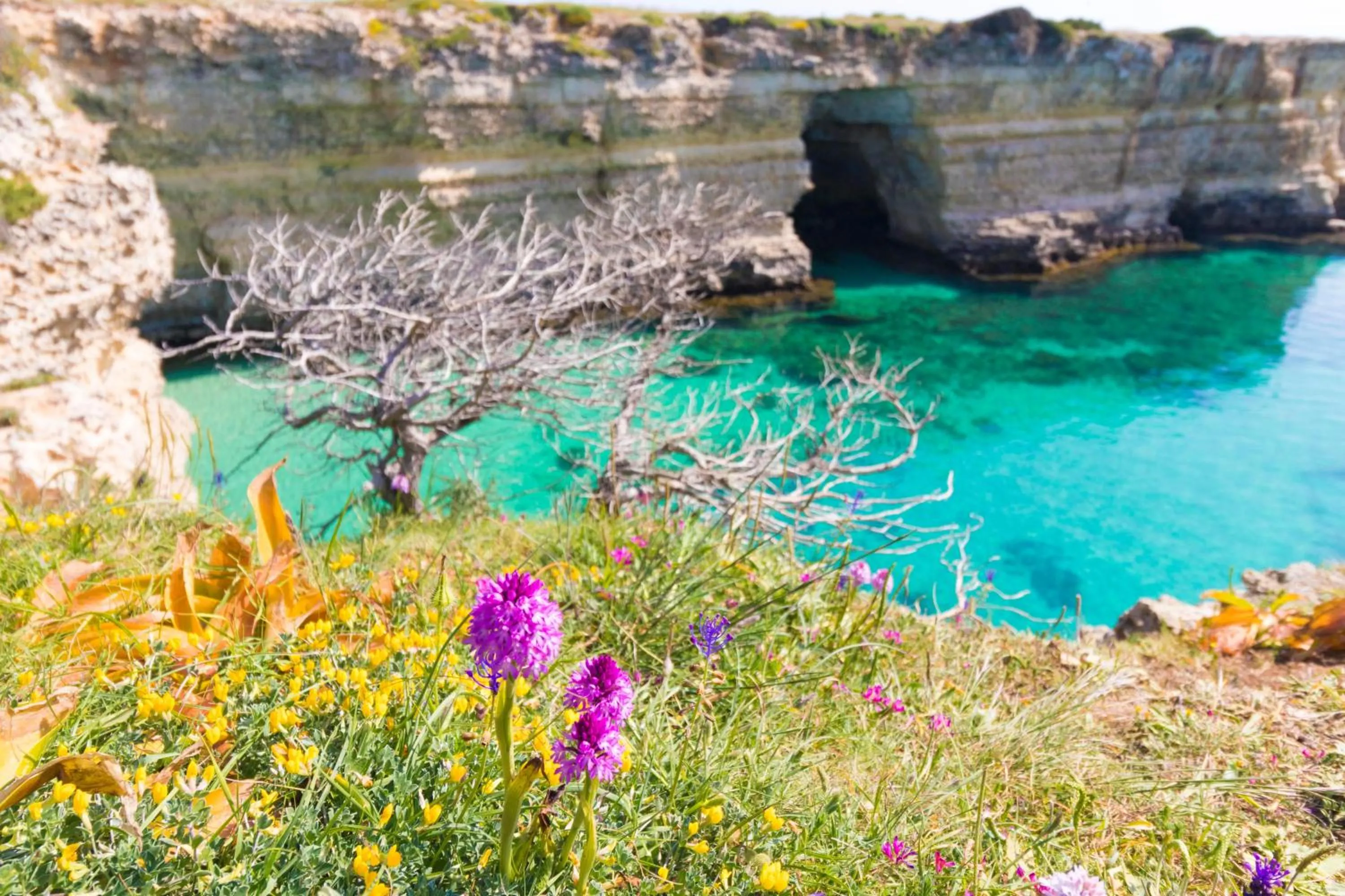 Property building in Casa vacanze Frida in Salento
