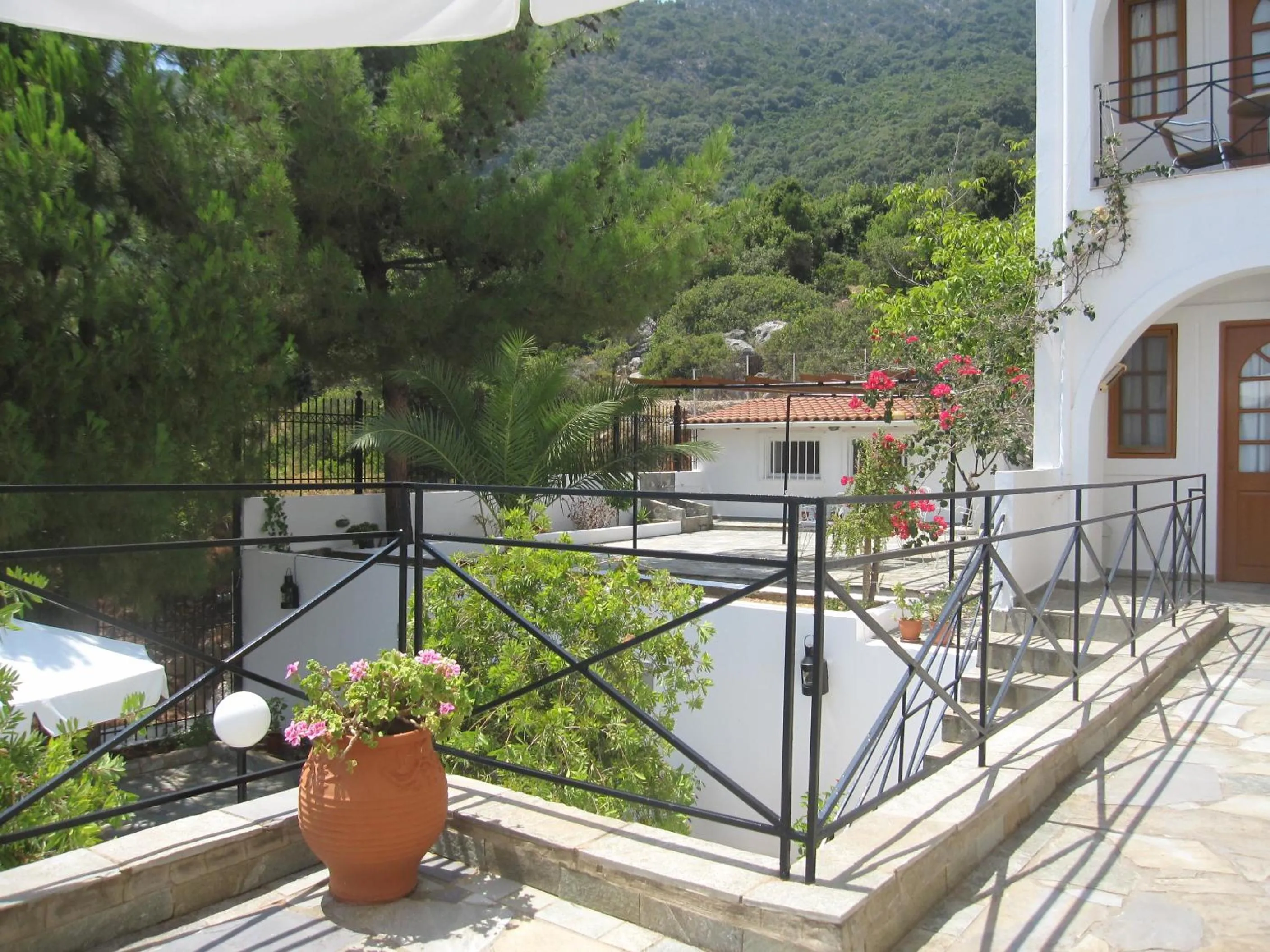 Garden in Travlos Studios