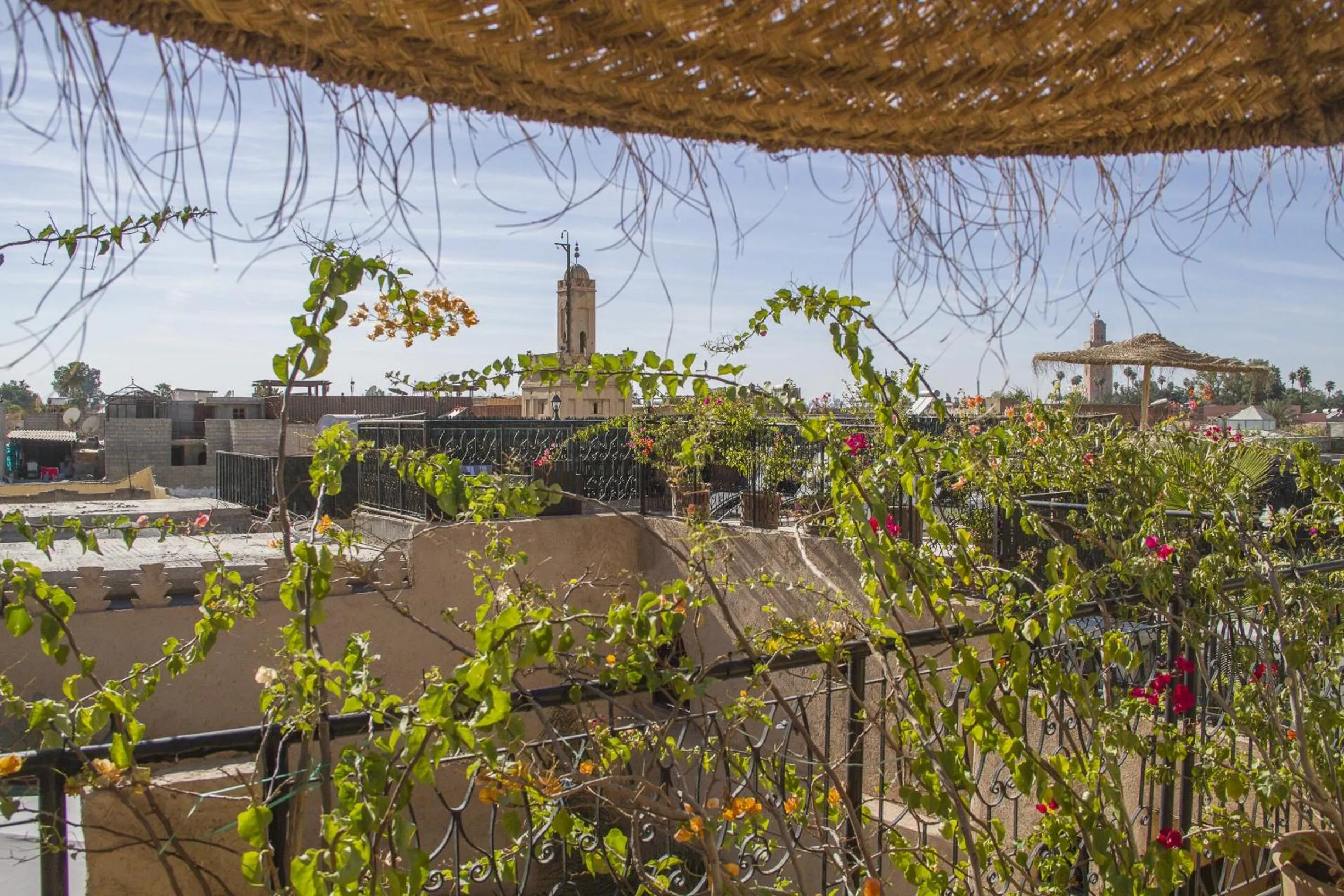 Garden in Riad Maud