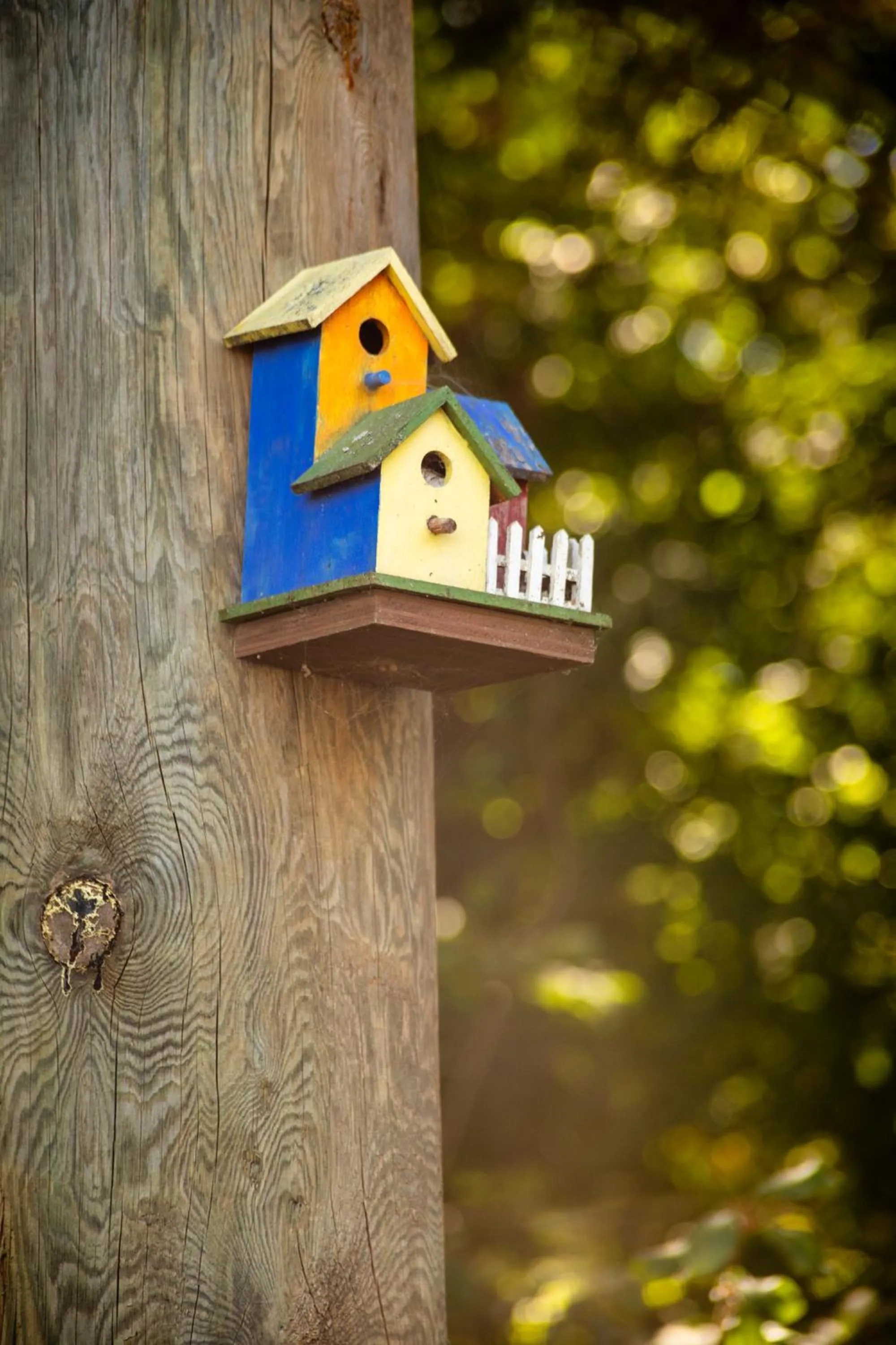 Natural landscape in Old Orchard Inn