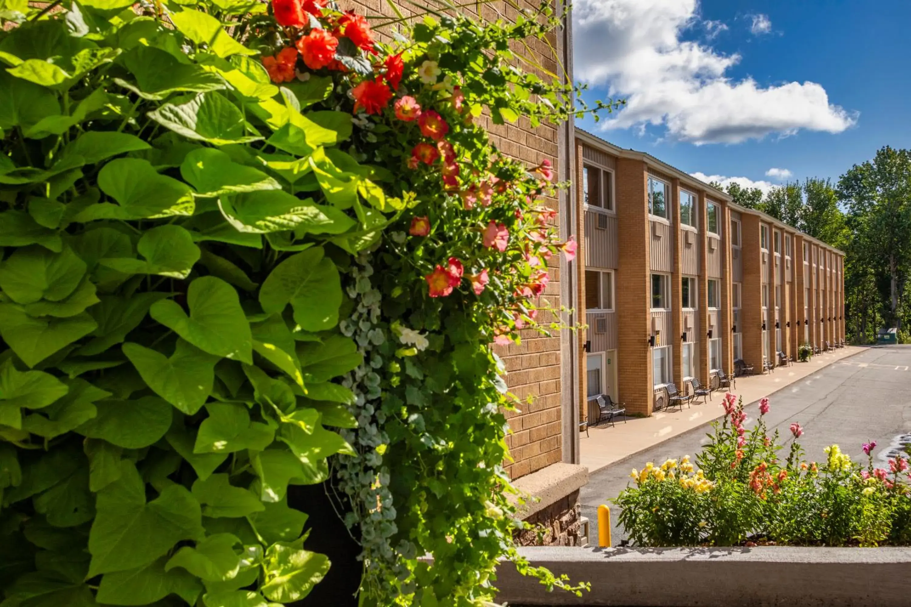 Property building in Old Orchard Inn Property building in Old Orchard Inn