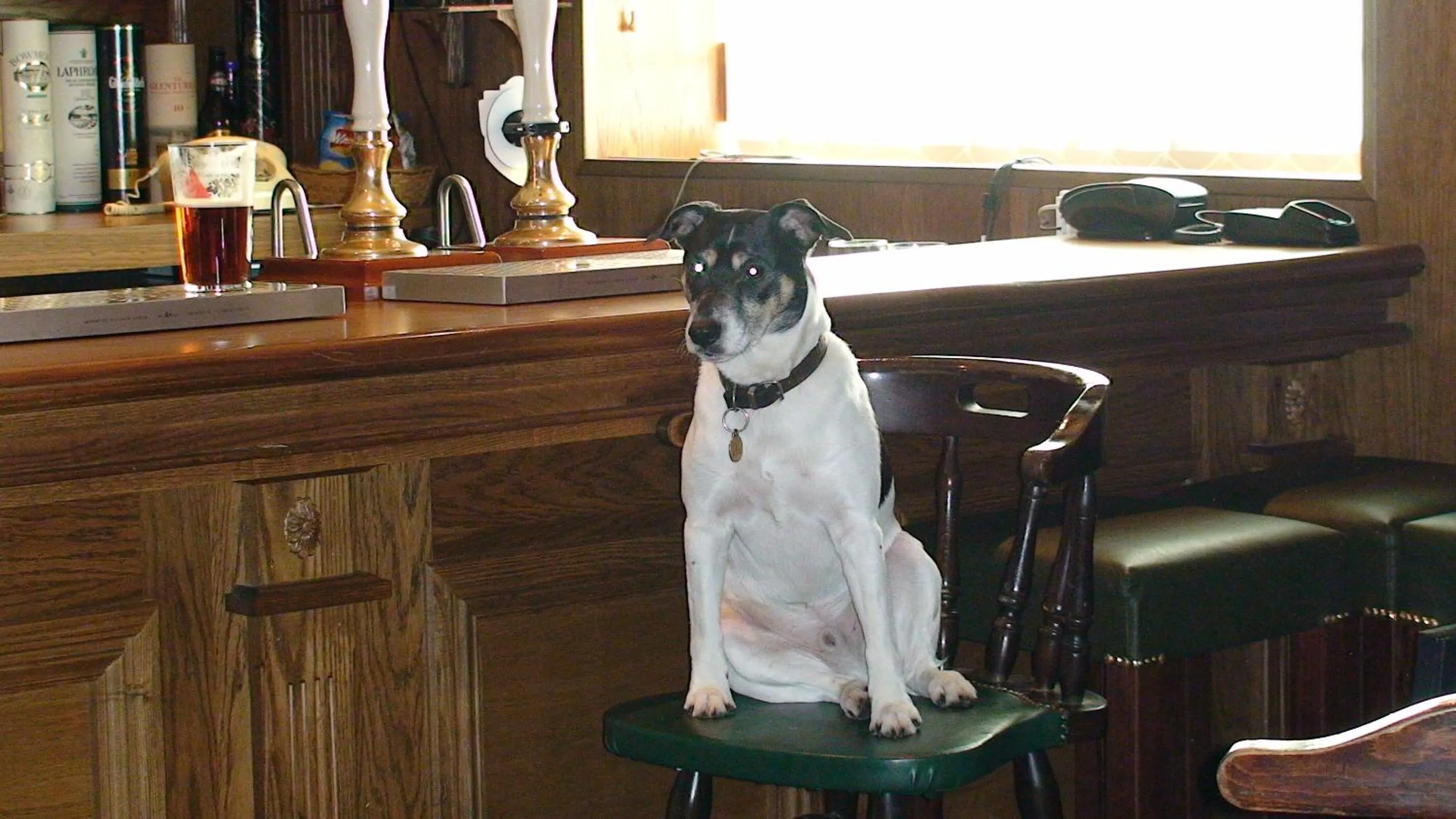 Lounge or bar in Plough and Harrow