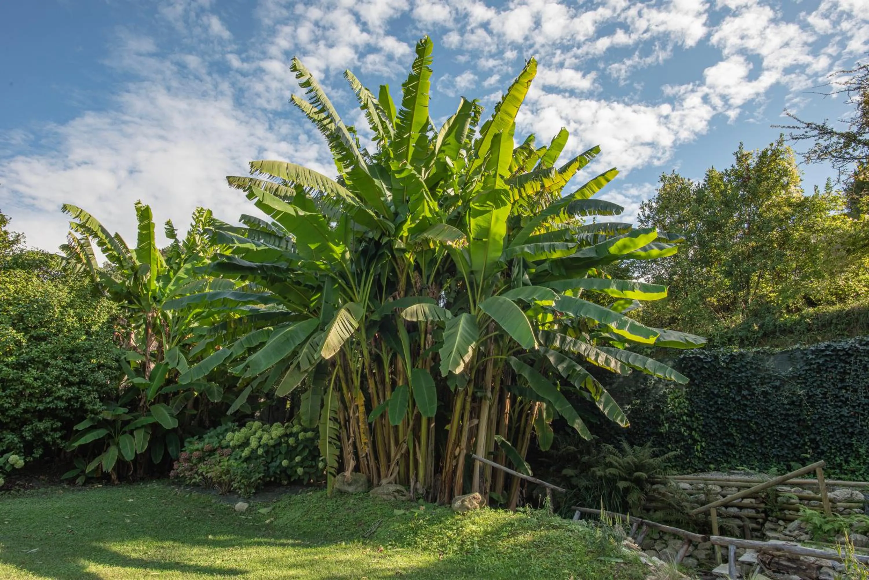 Garden in Relais Corte Rodeschi