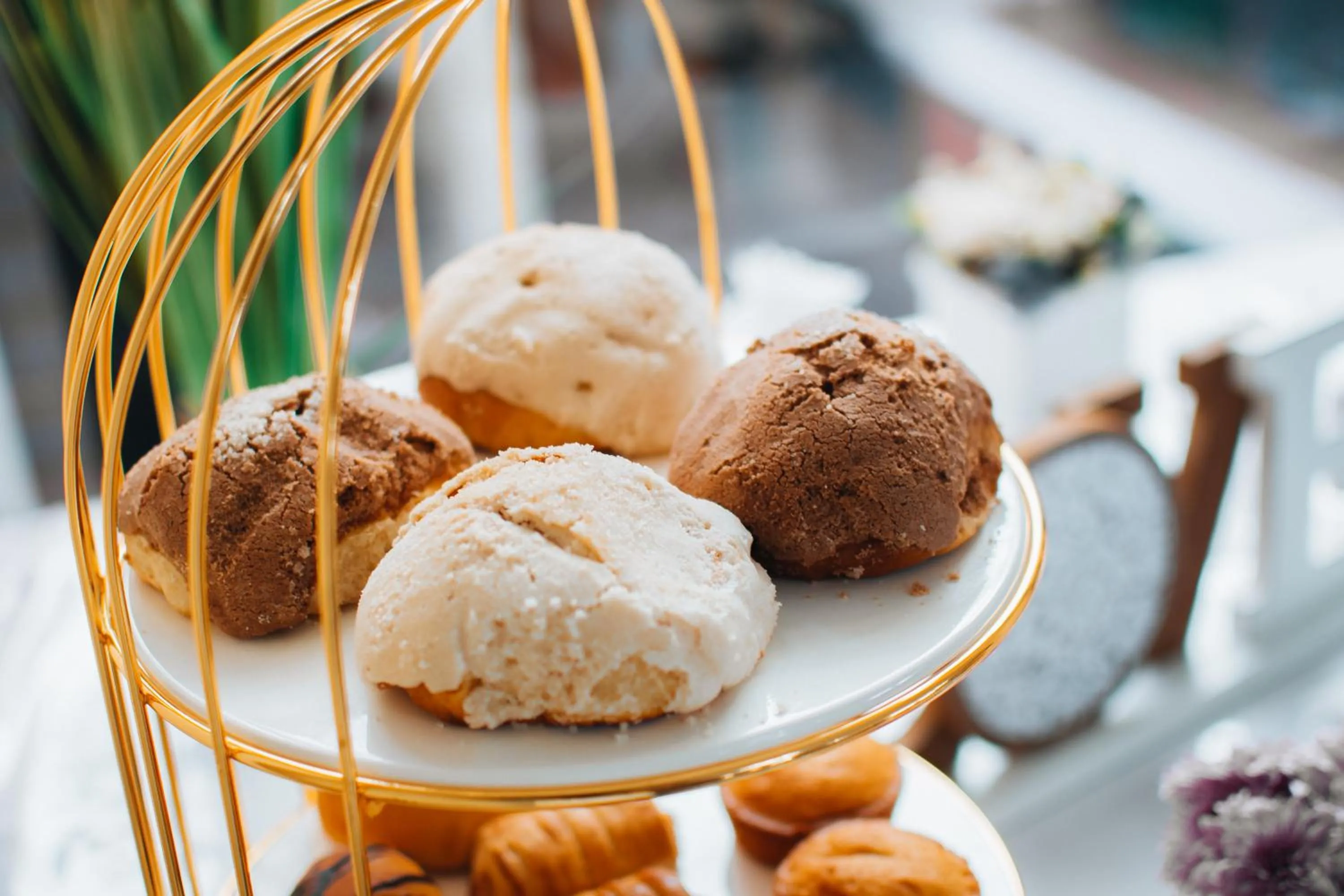 Breakfast in Hotel del Carmen, en el Centro- DESAYUNO Incluido !