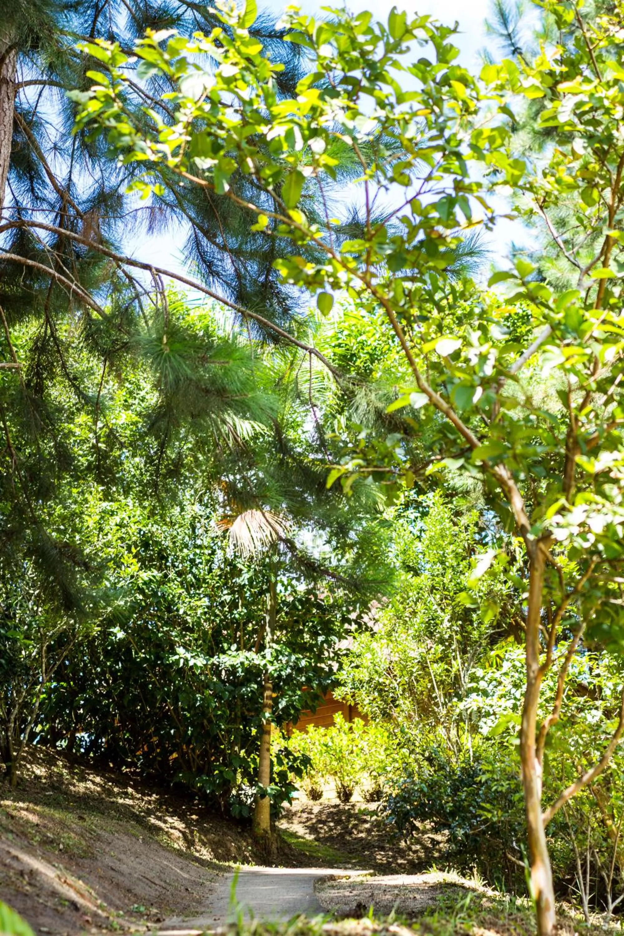 Chez Domaine Pousada Organica