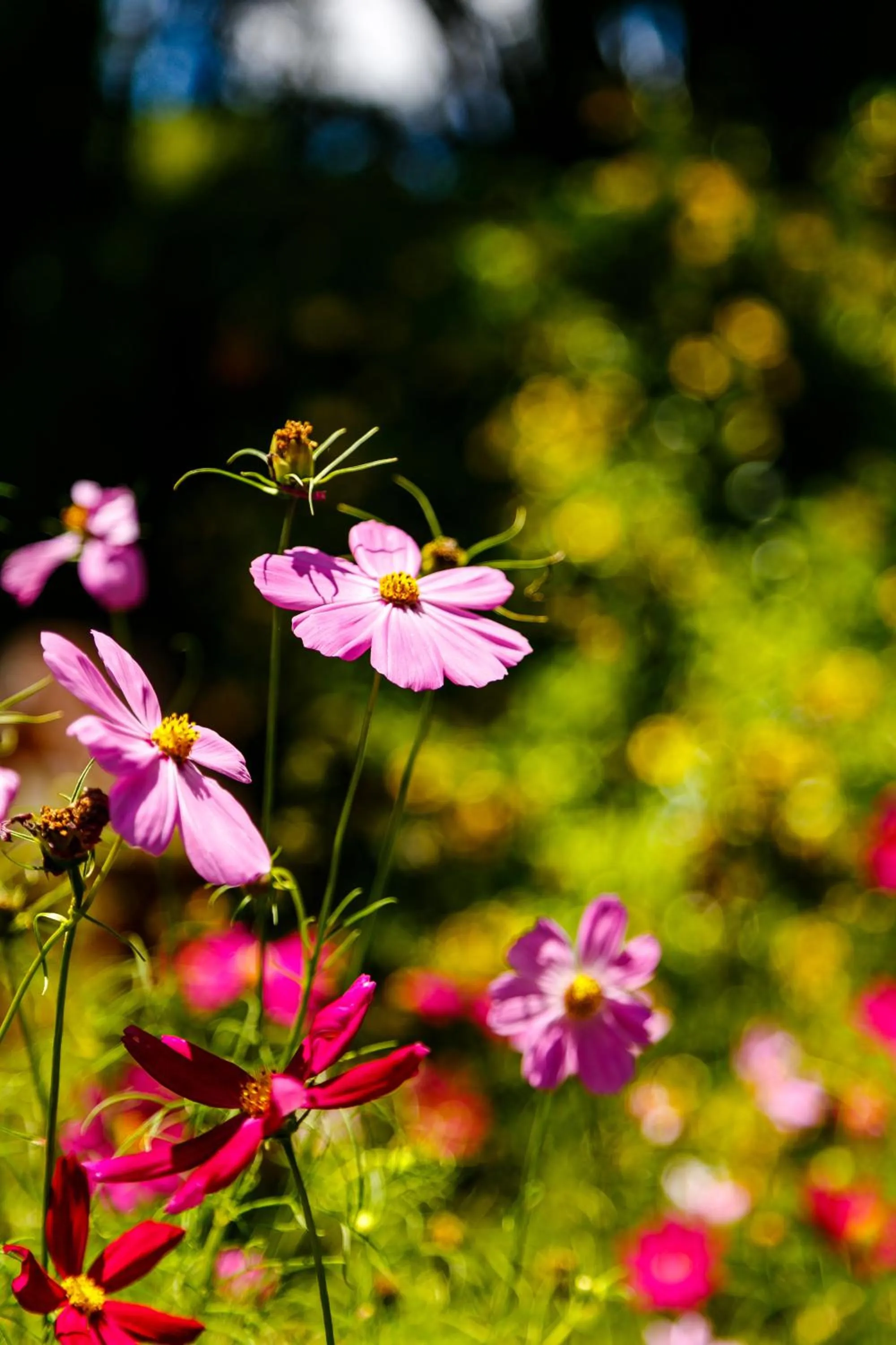 Children play ground in Chez Domaine Pousada Organica