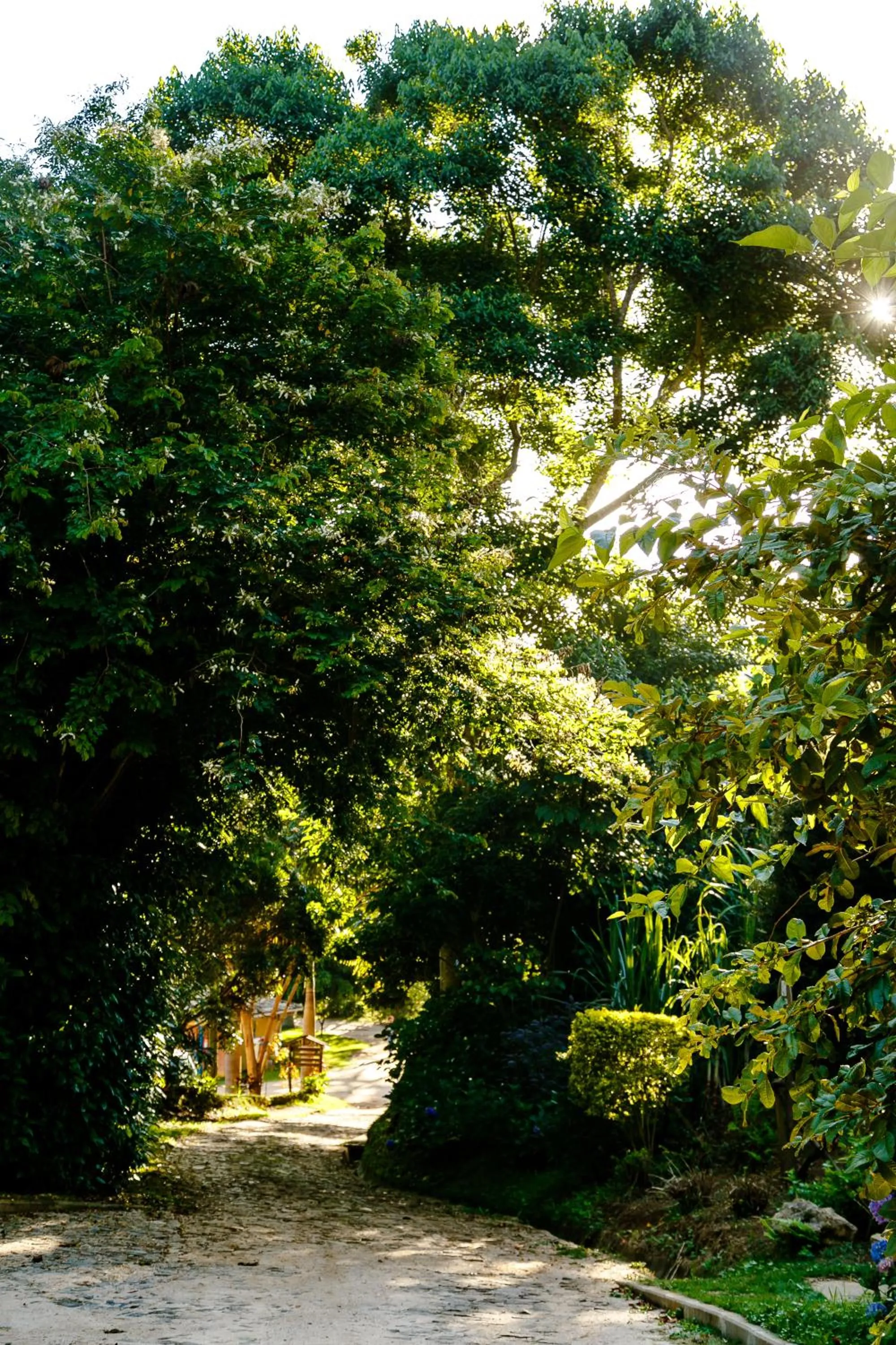 Chez Domaine Pousada Organica