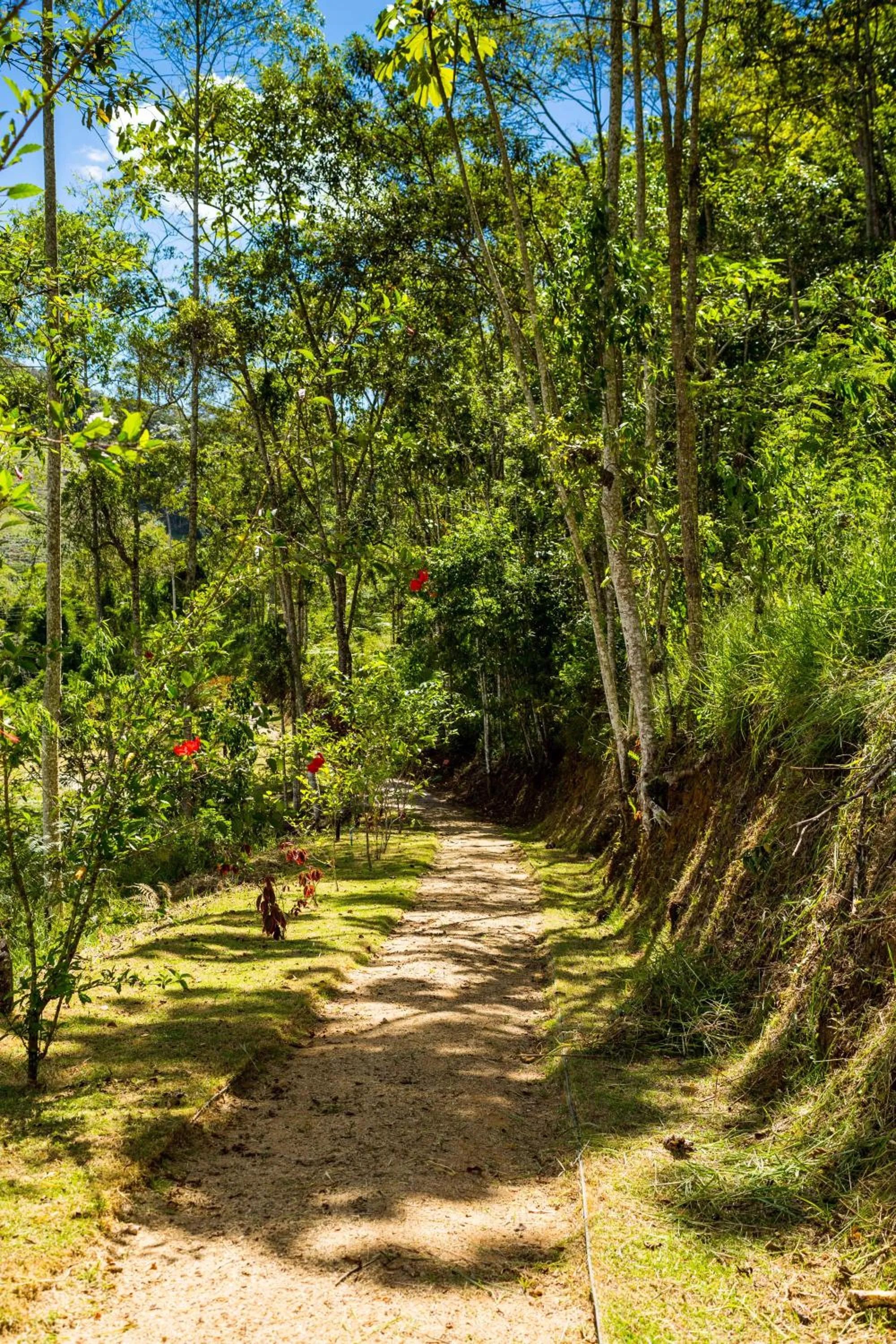 Chez Domaine Pousada Organica