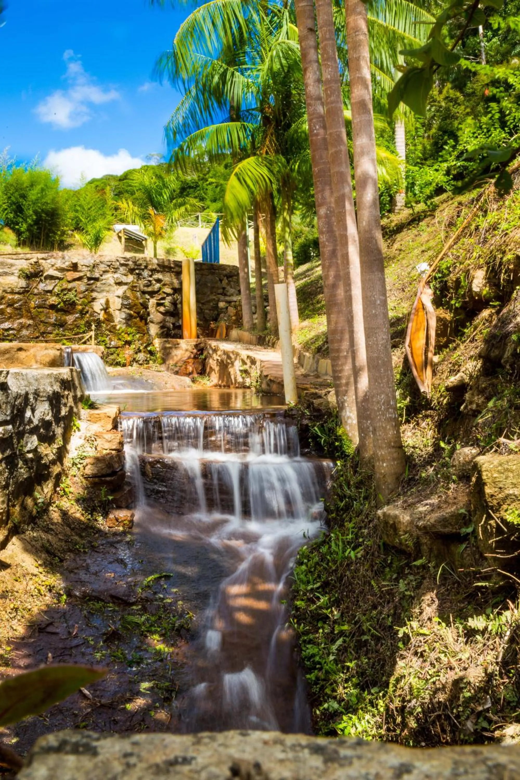  in Chez Domaine Pousada Organica