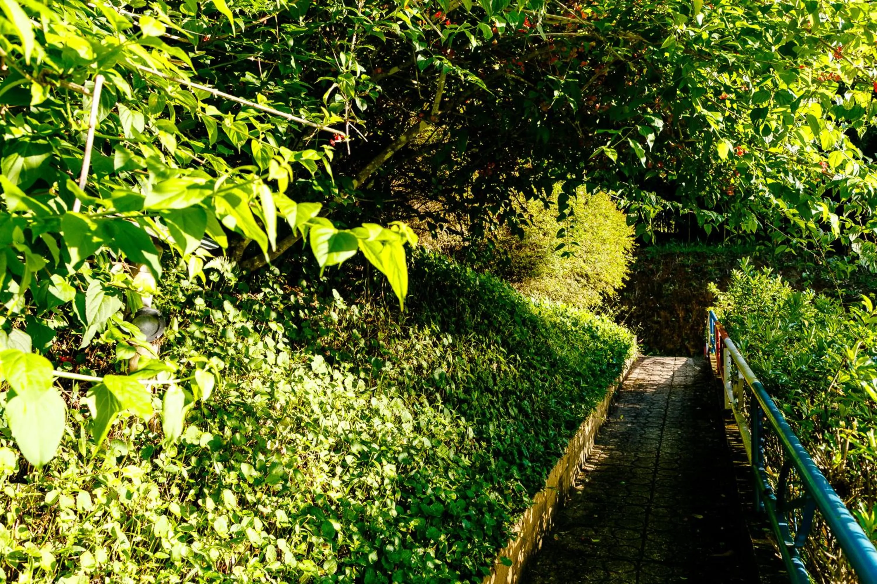 Chez Domaine Pousada Organica