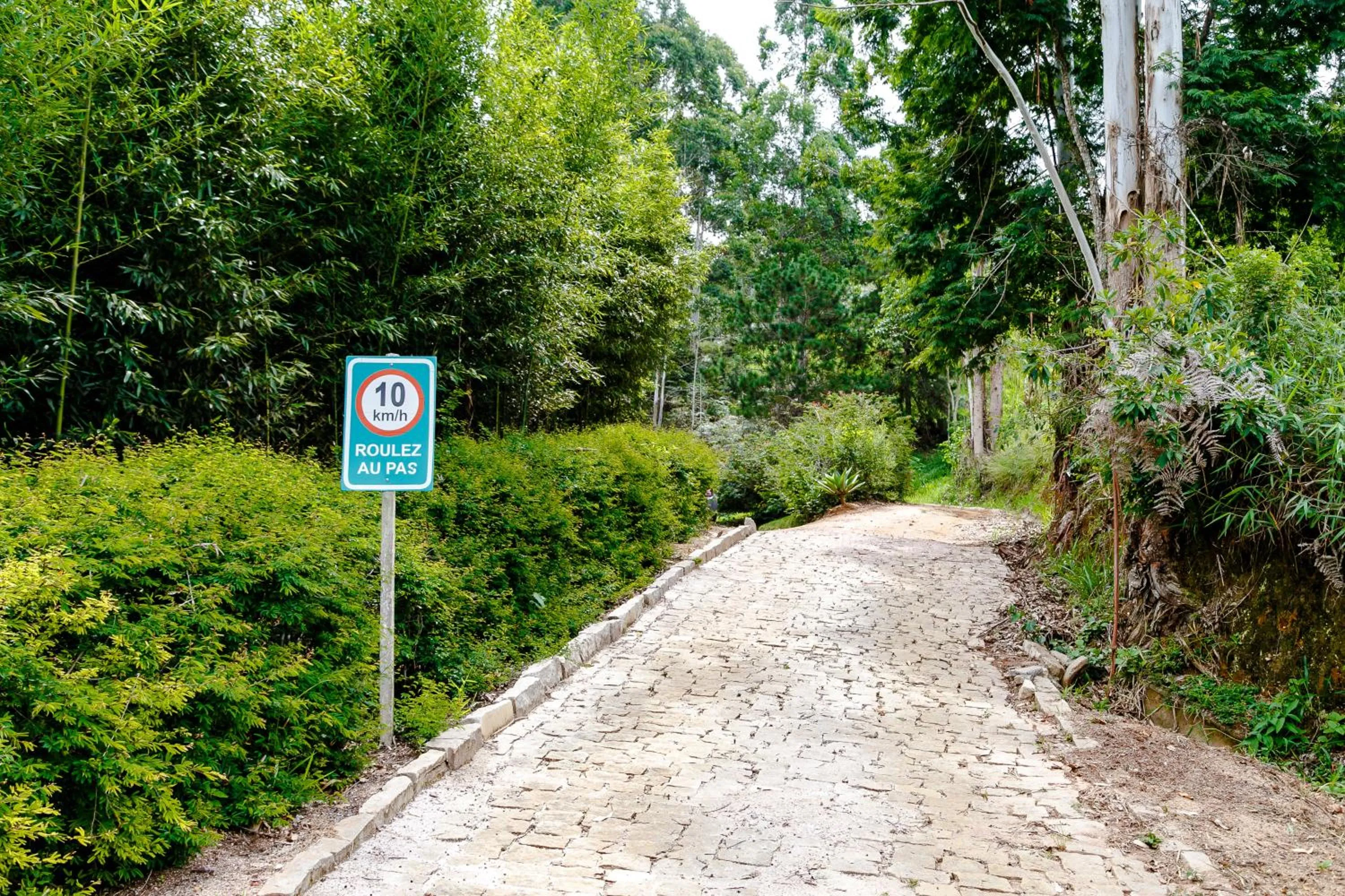 Chez Domaine Pousada Organica