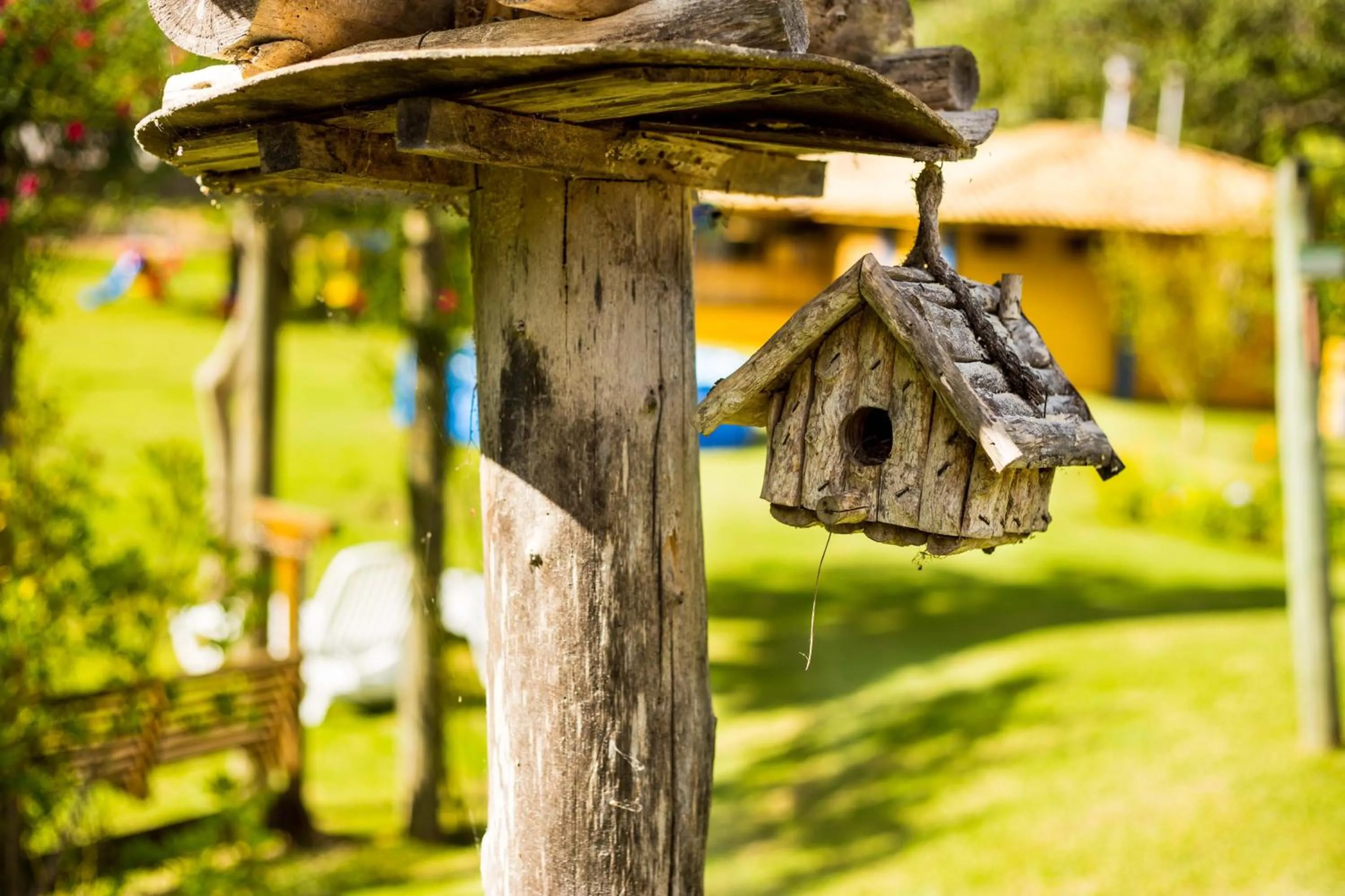 Day in Chez Domaine Pousada Organica