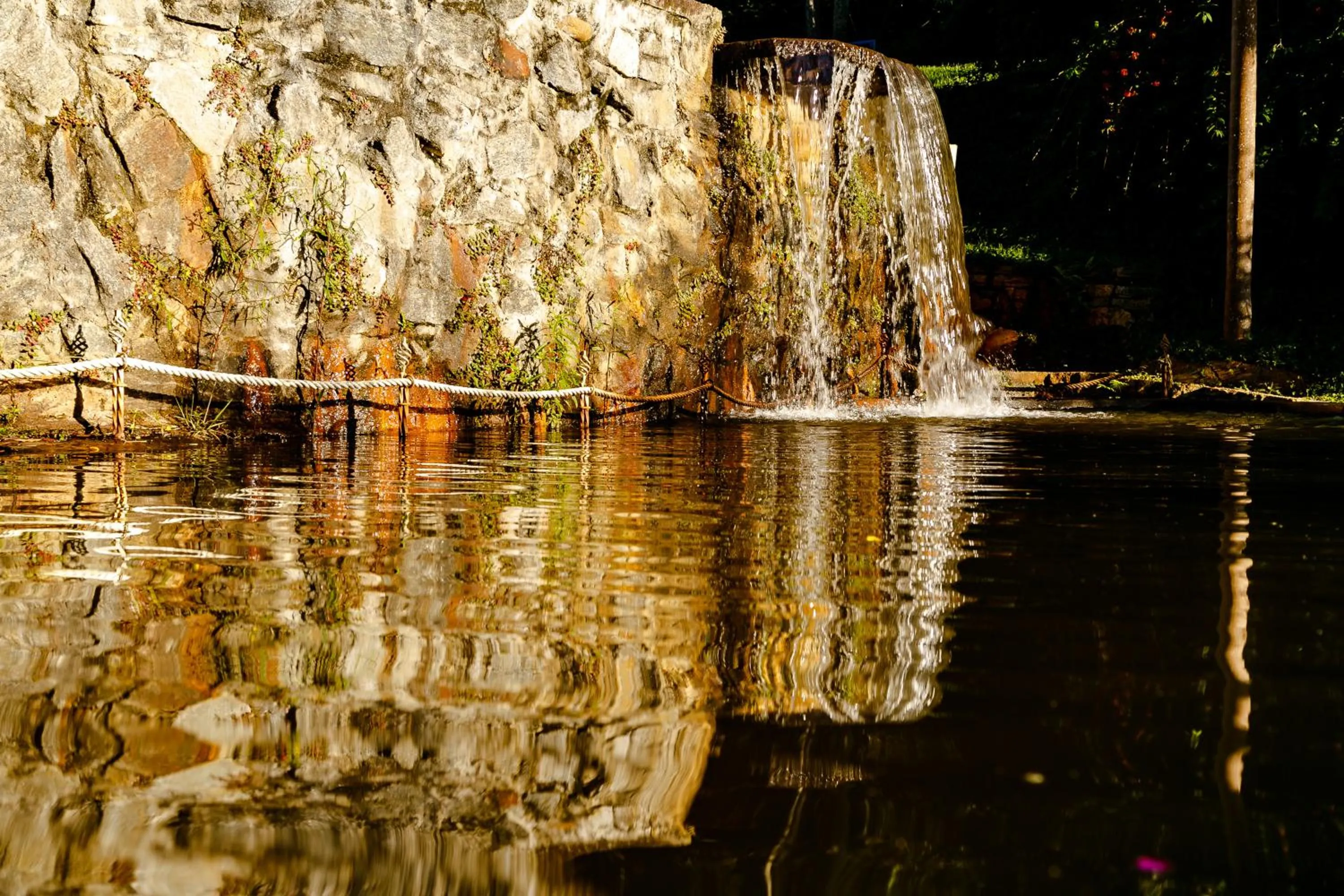 Chez Domaine Pousada Organica