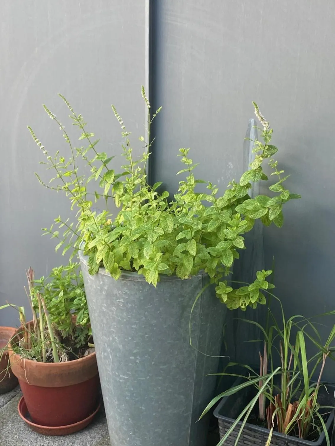 Apartment 3, Warehouse K