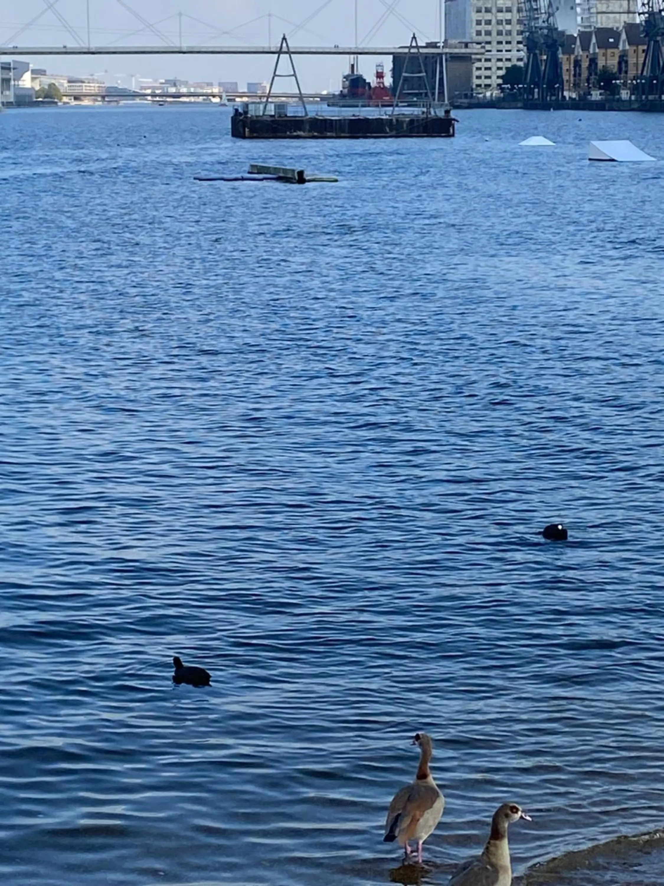 Apartment 3, Warehouse K