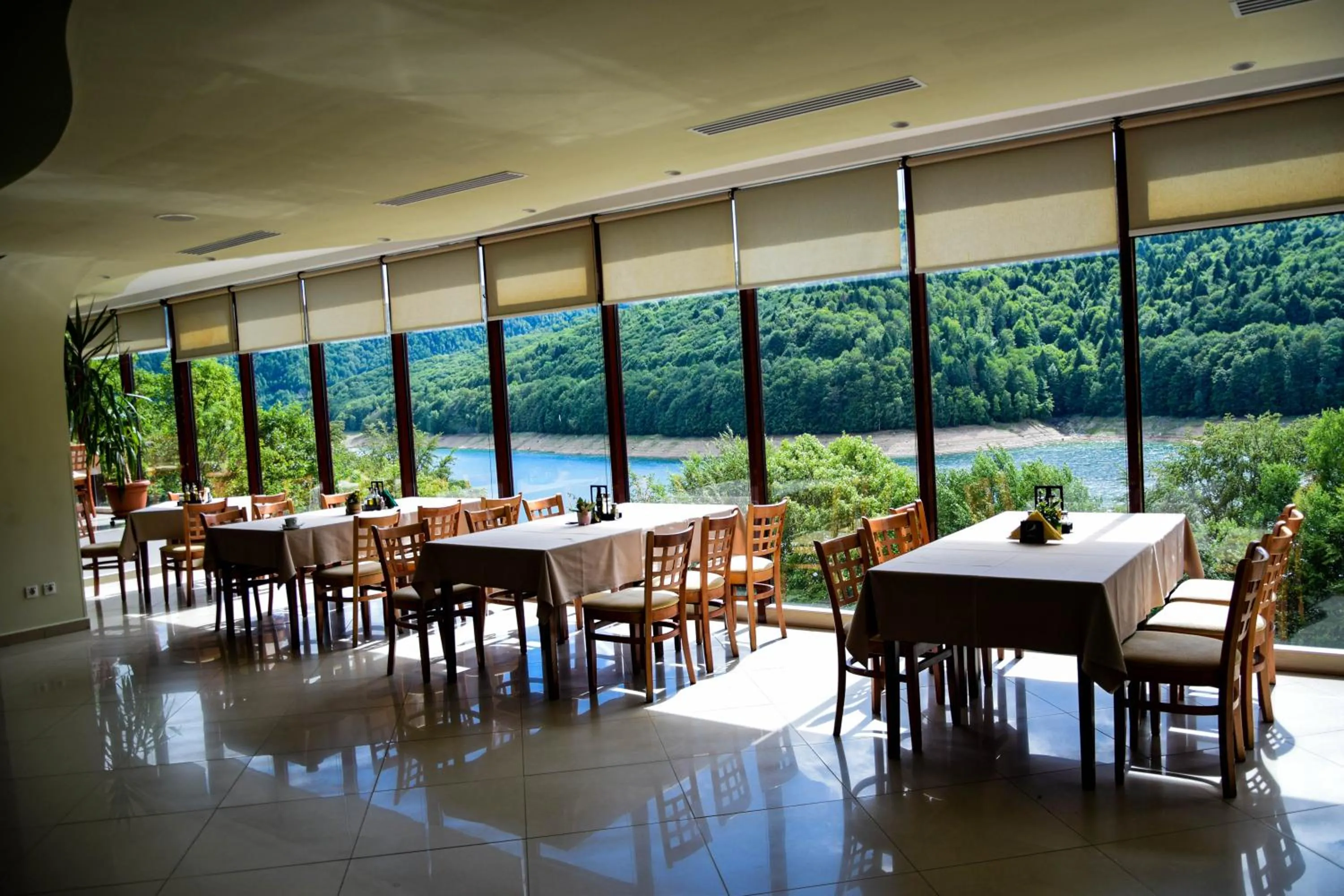 Restaurant/places to eat in Hotel Valea cu Pesti